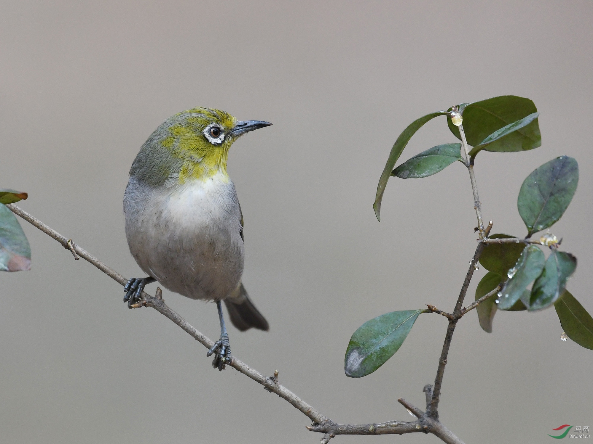 ������Ӱ 200����.jpg