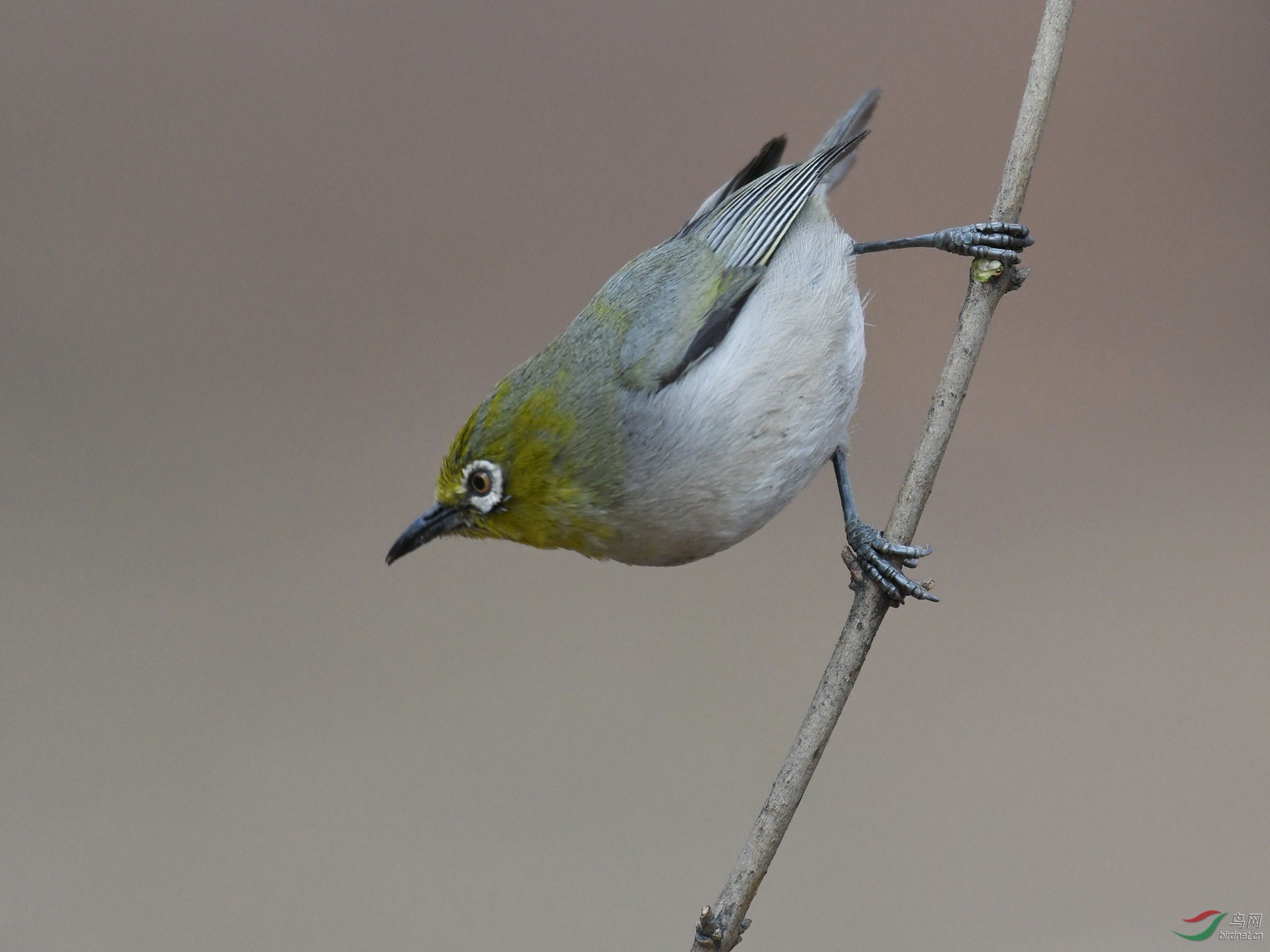 ������Ӱ 382����.jpg