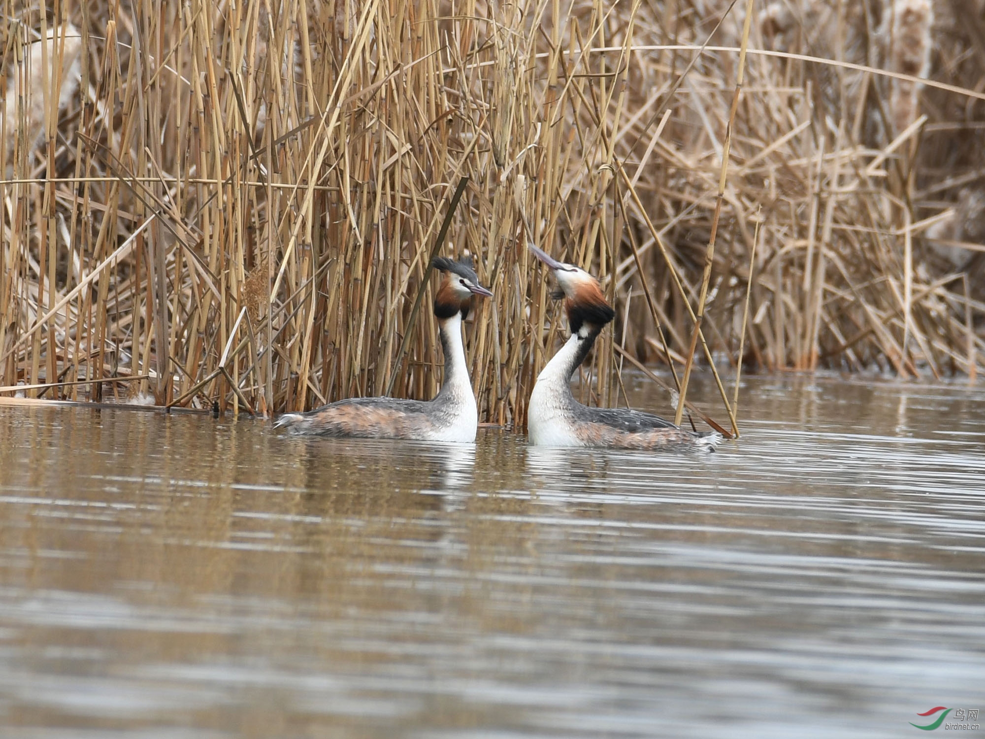 ������Ӱ 030����.jpg