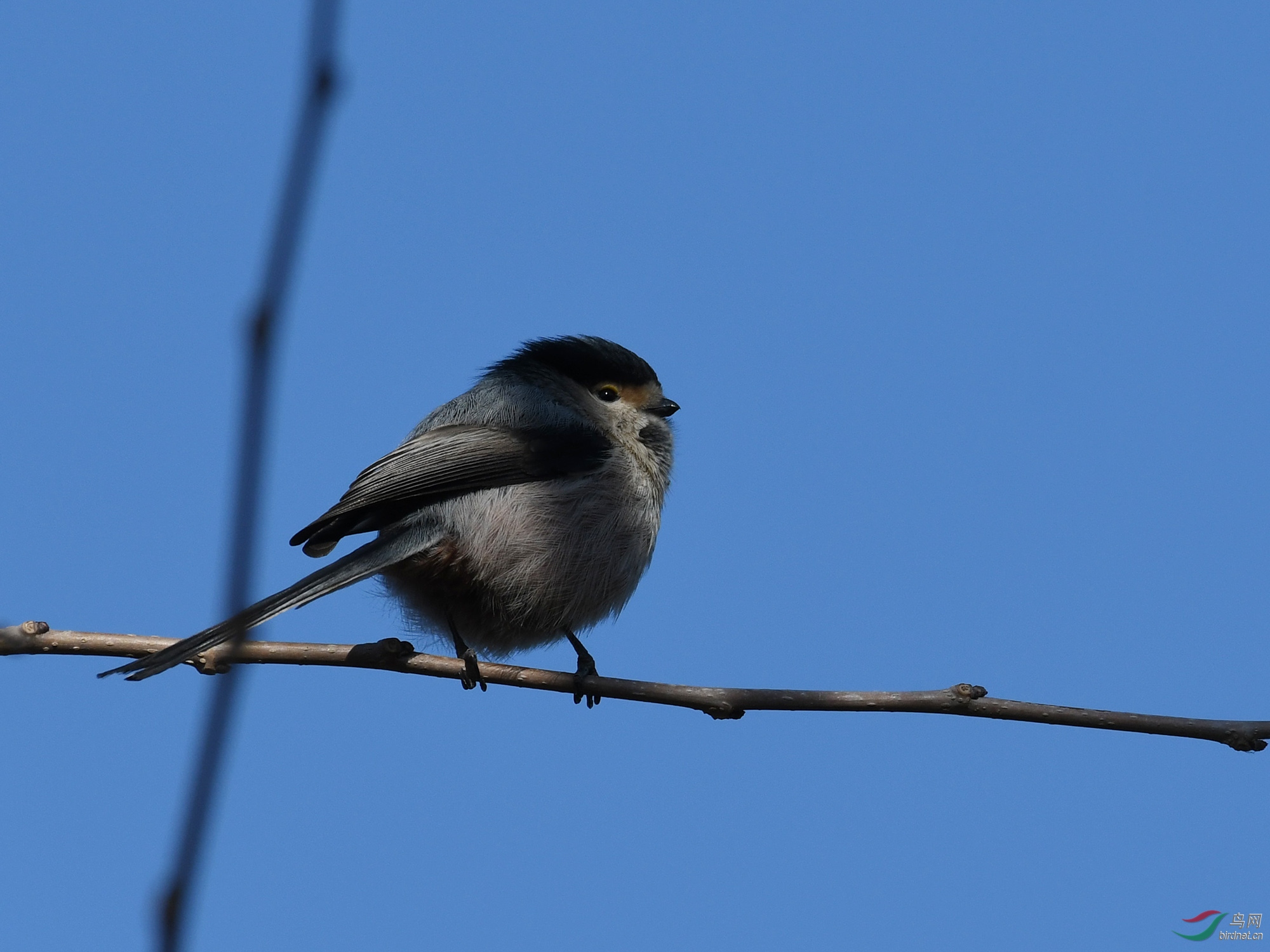 ������Ӱ 397����.jpg