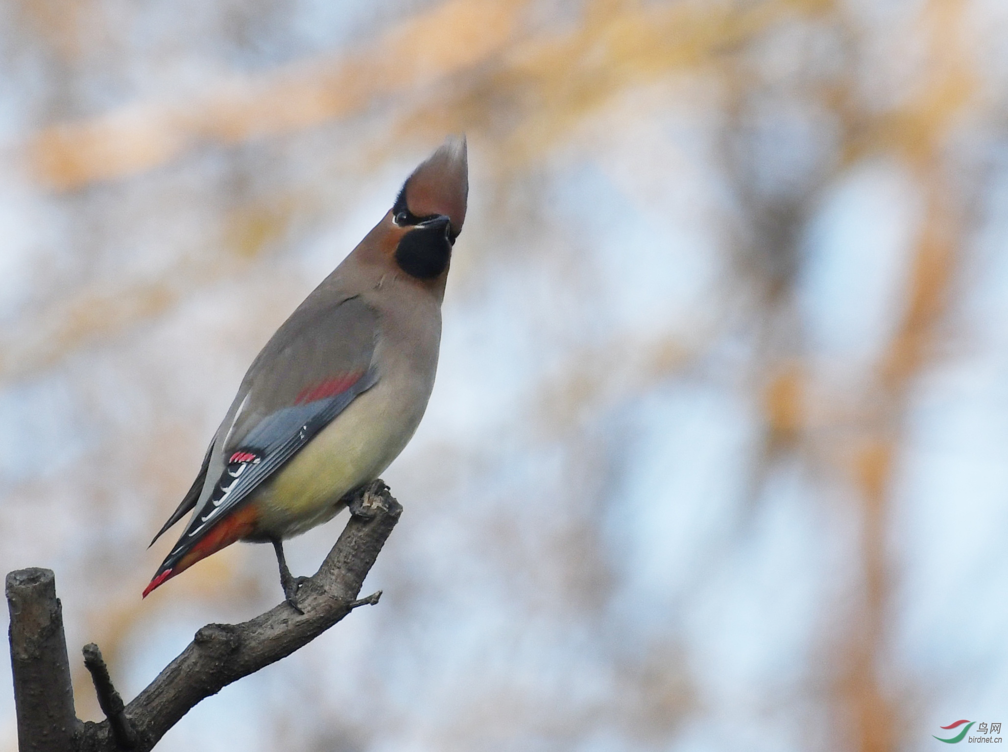 ������Ӱ 807����.jpg