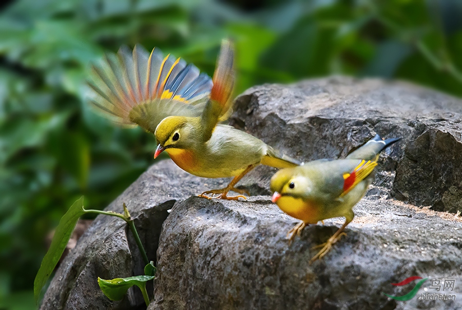 ������˼��