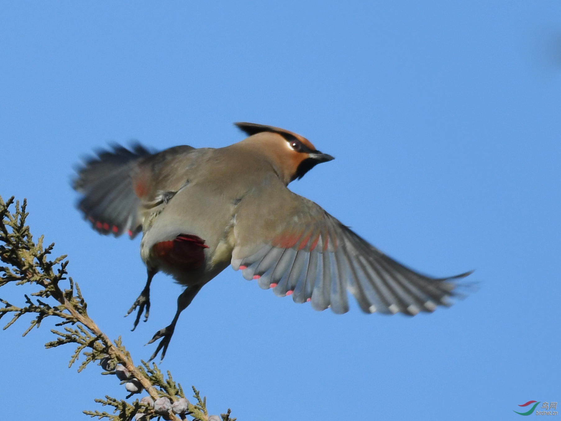 ������Ӱ 1399����.jpg