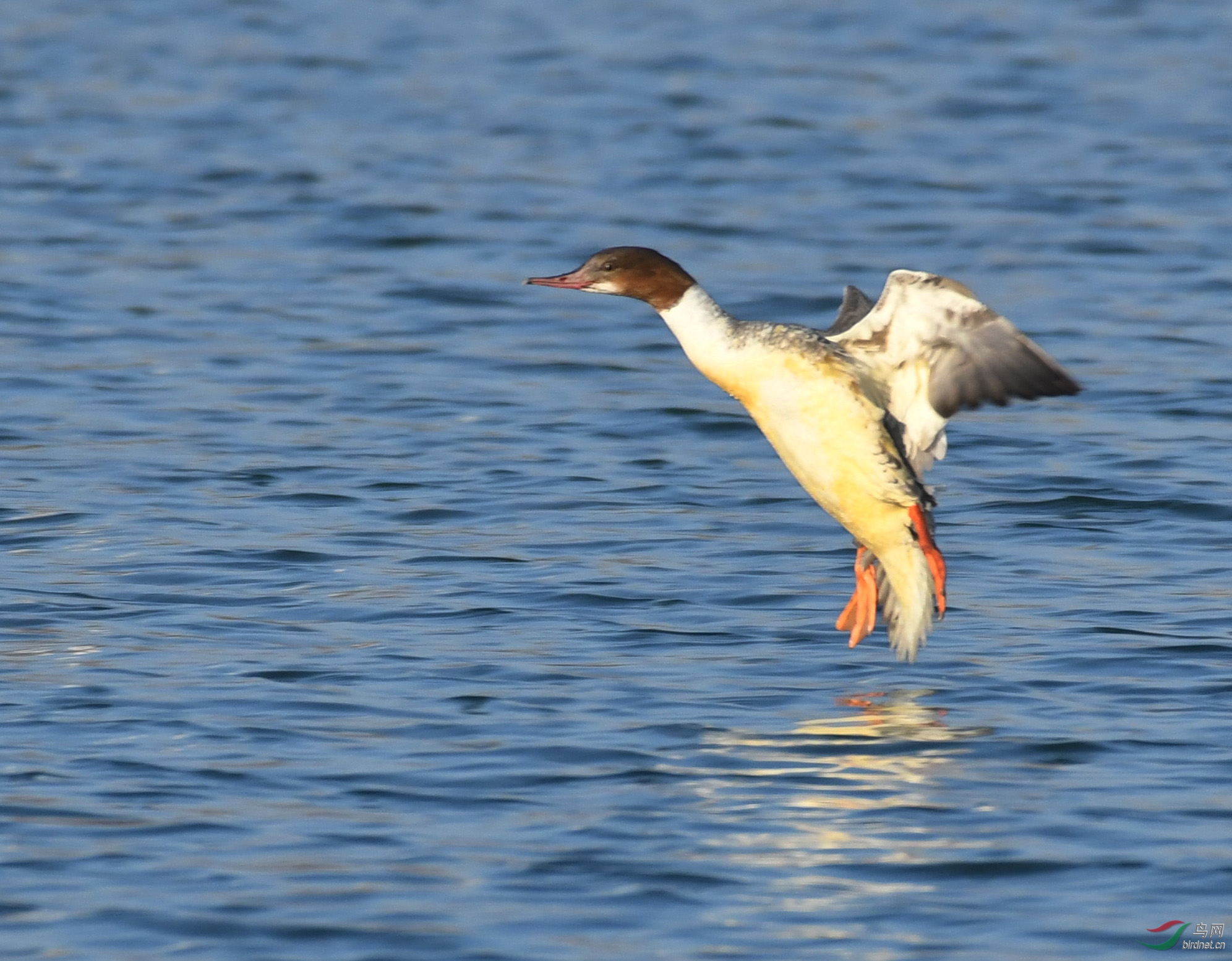 ������Ӱ 636����.jpg