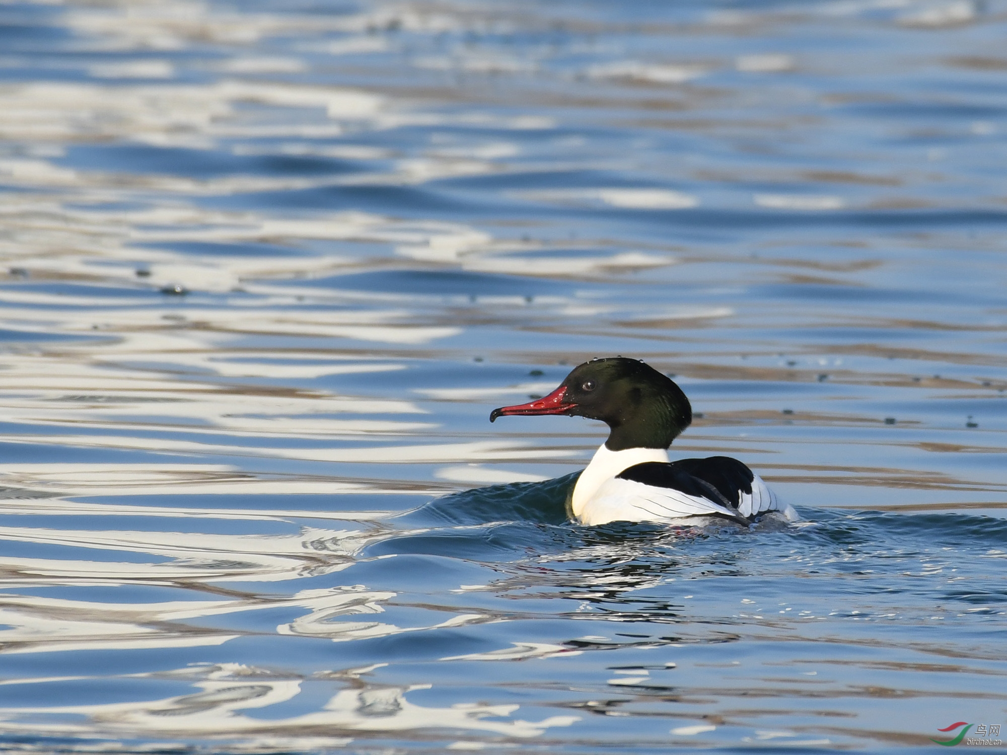 ������Ӱ 669����.jpg