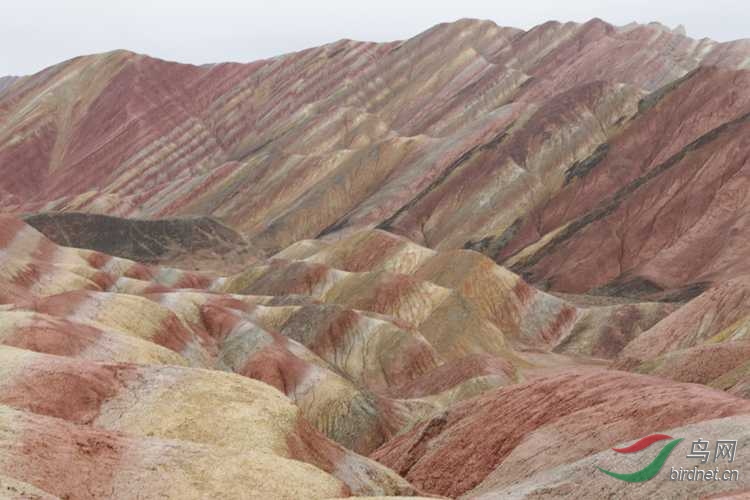 0S2A2754.JPG