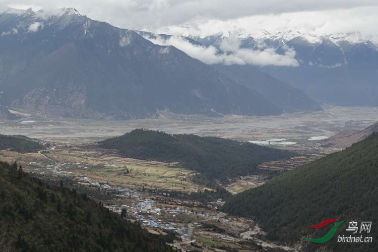 0S2A1470.jpg