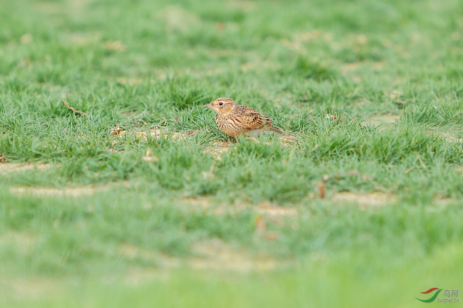 С��ȸ_MG_9894-01