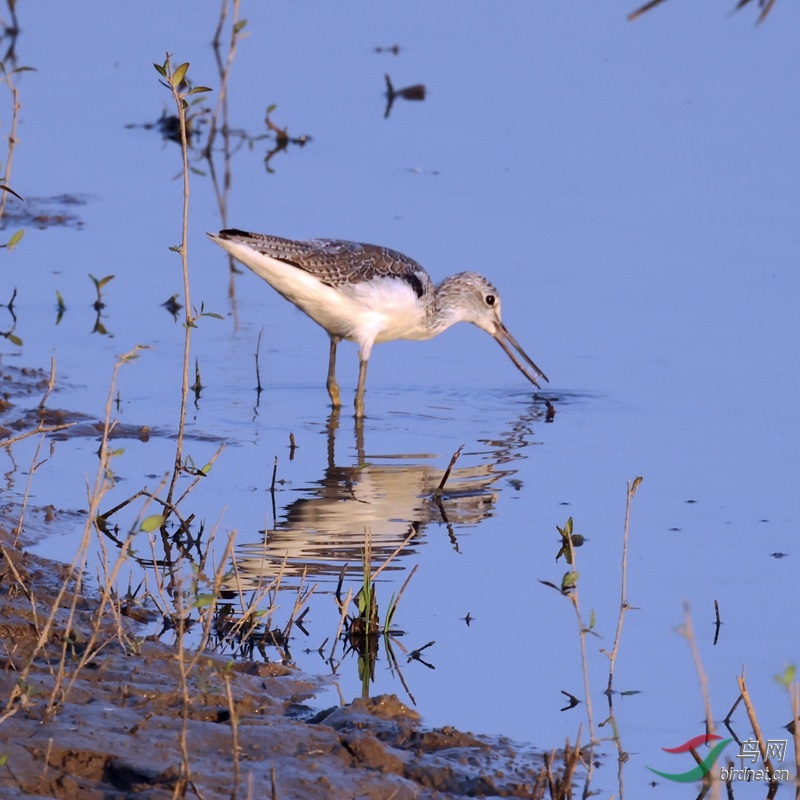 A28A1477_���� _����.jpg