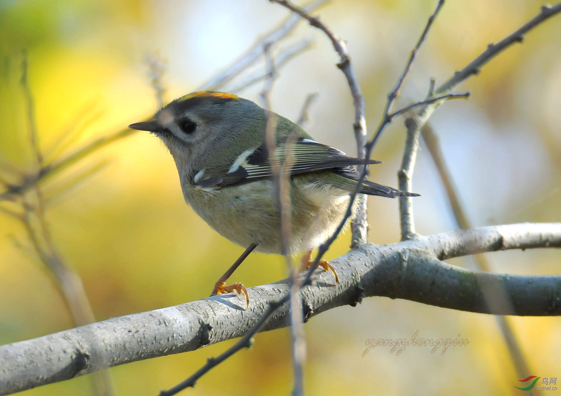 DSC_8426.jpg