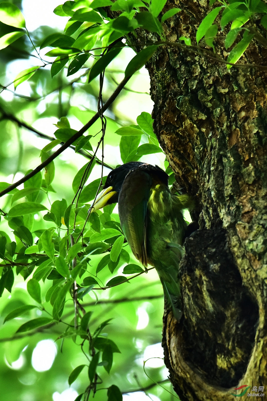 DSC_0130.JPG