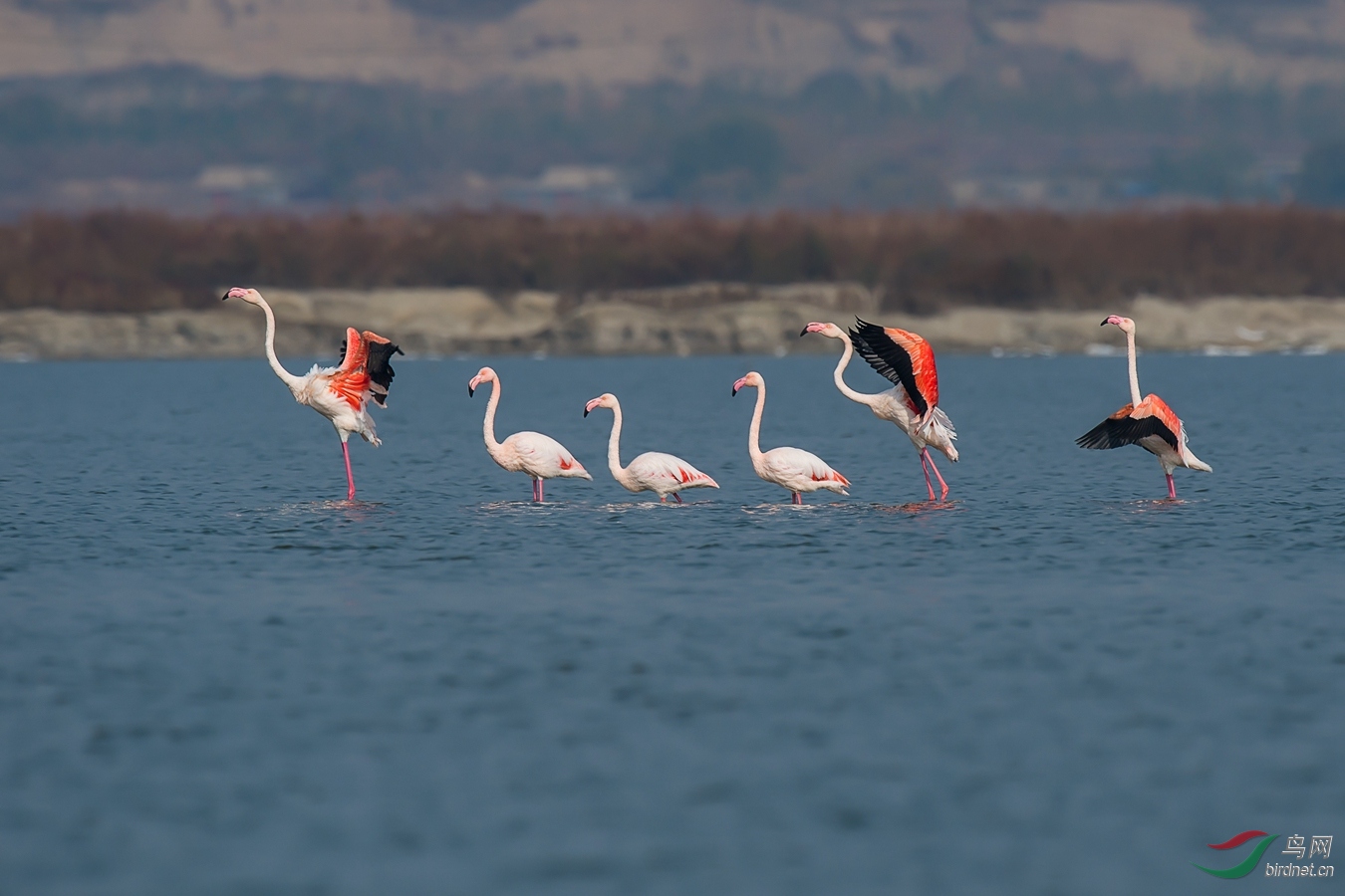 XCG_7457 - ����.jpg