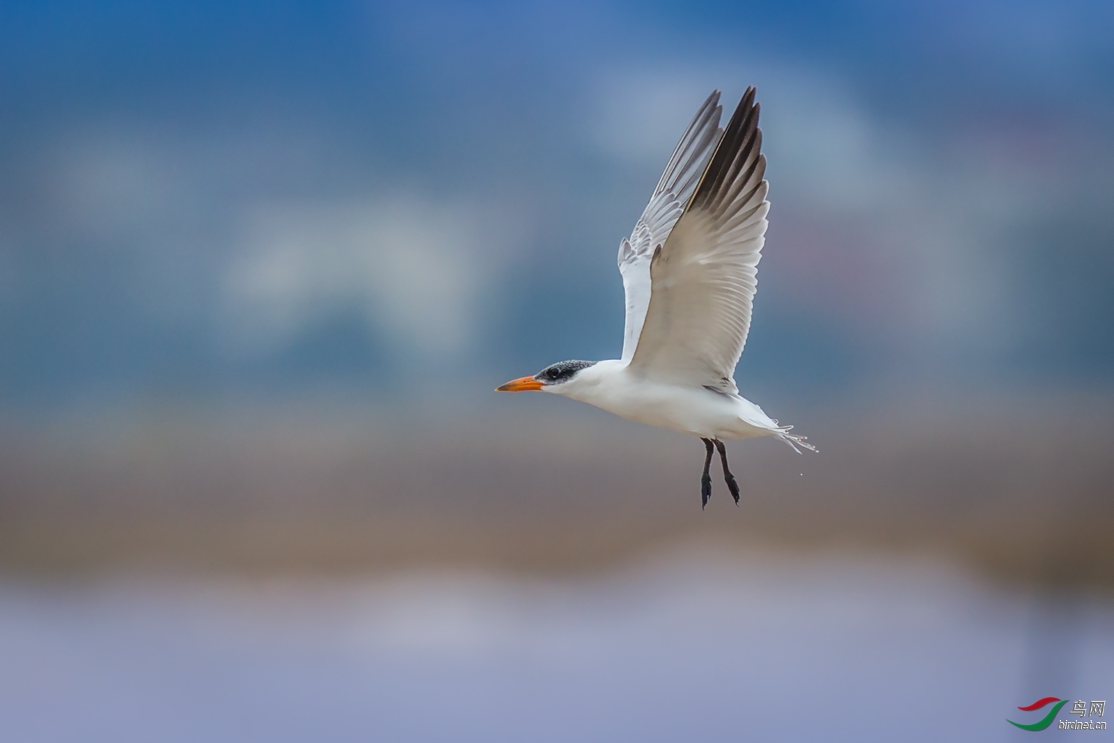 ���� ϲ�� ��ʦ�����ڸ���ʡ������.jpg