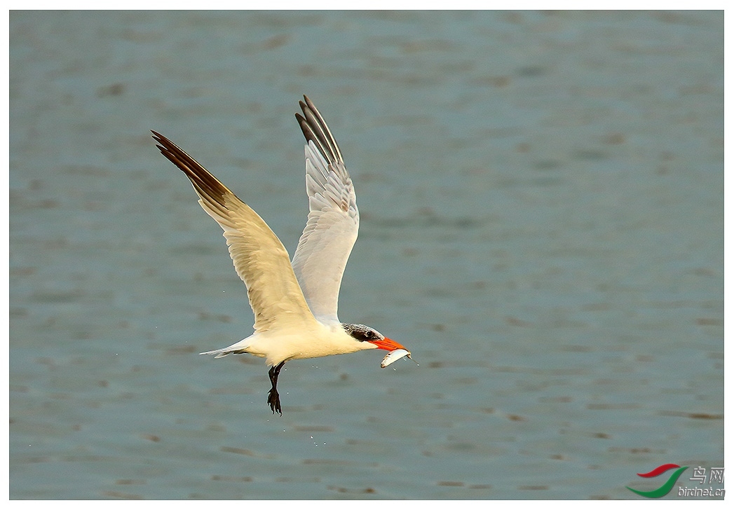 ������ ��ʦ������ɽ��ʡΫ����.jpg