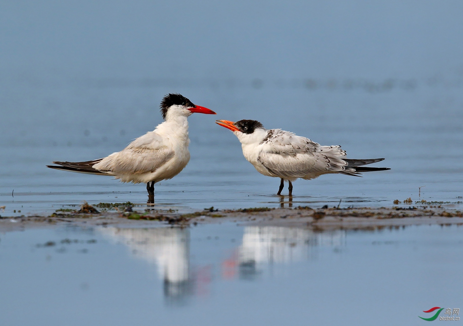 ����09  ��ʦ�����ڱ�����������.jpg