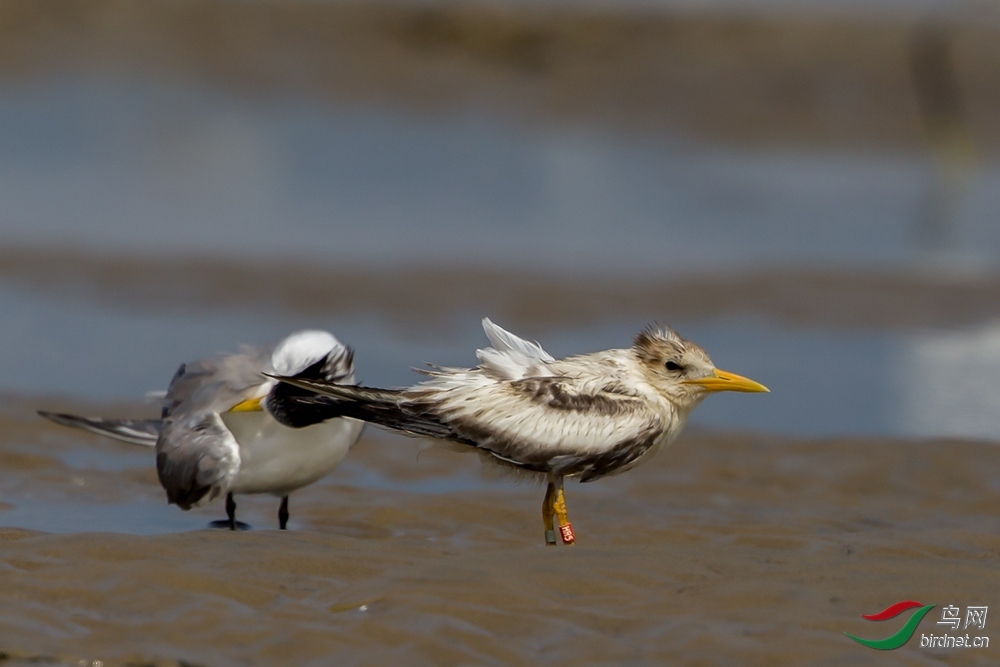 �������� ��ʦ�����ڸ���ʡ������2.jpg