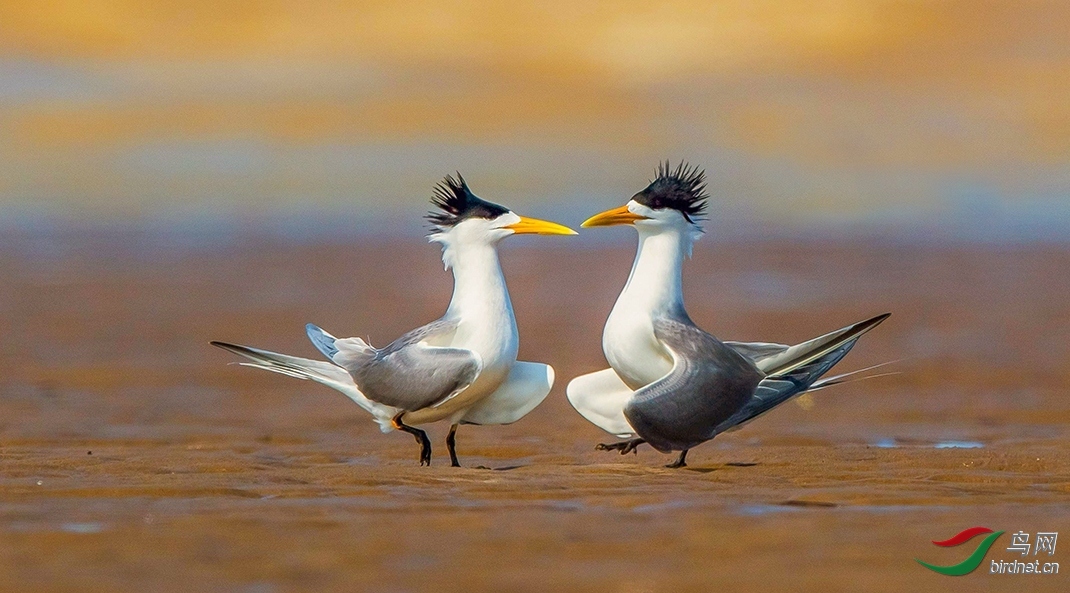 ����66 ��ʦ�����ڸ���ʡ������.jpg