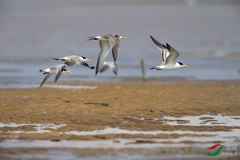 �������� ��ʦ�����ڸ���ʡ������.jpg