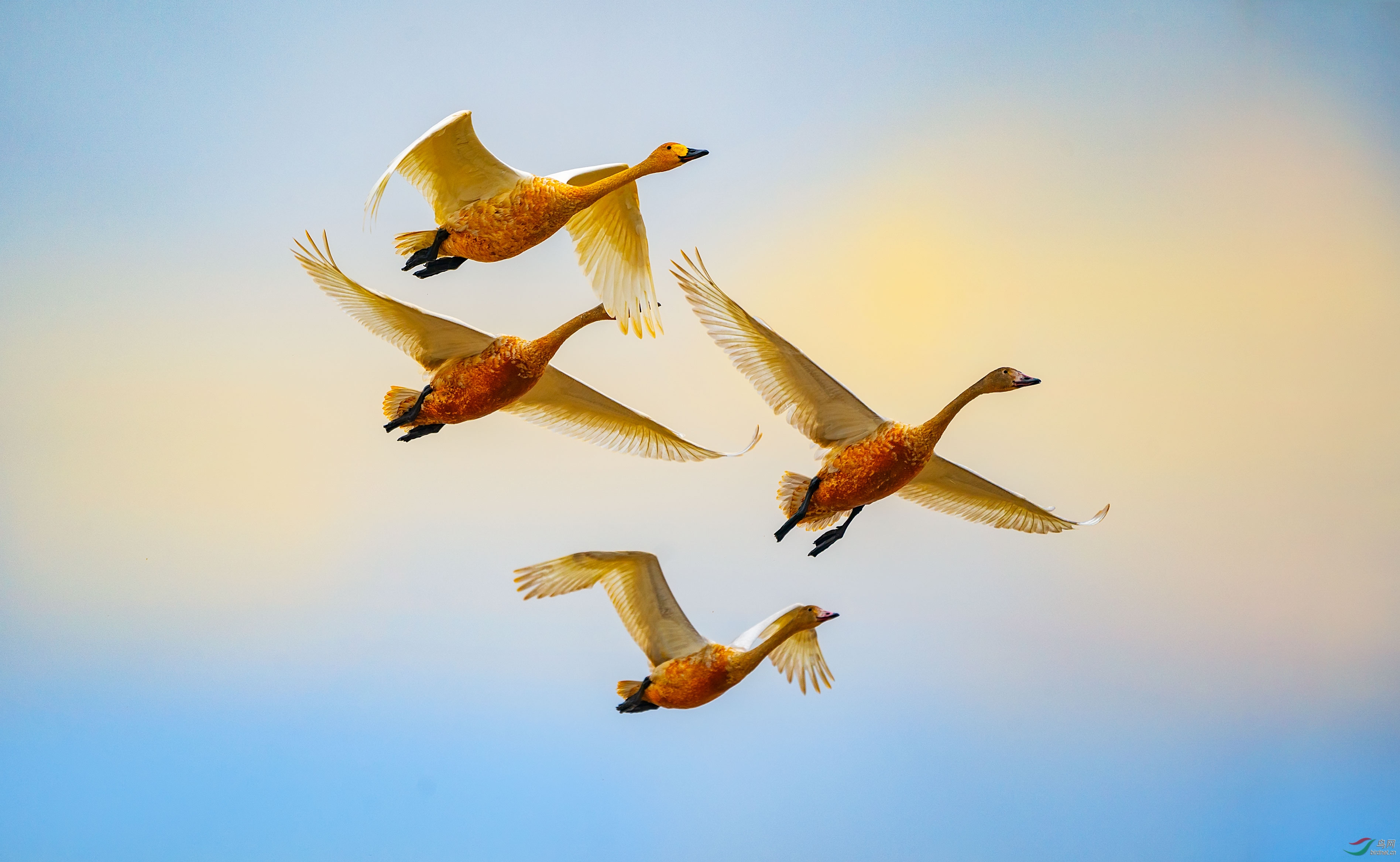 DSC00066-���� (2).jpg