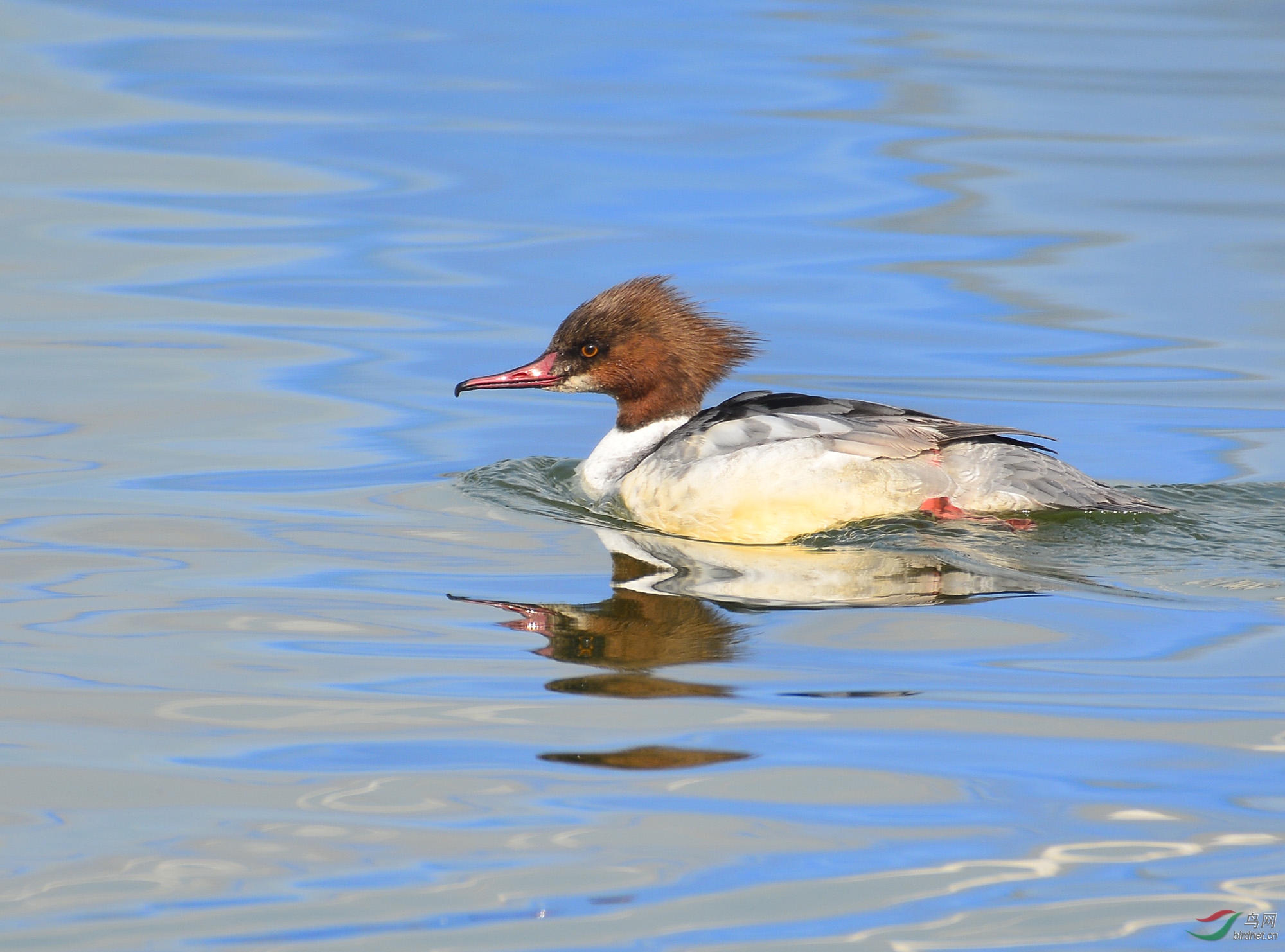 ������Ӱ 513����.jpg