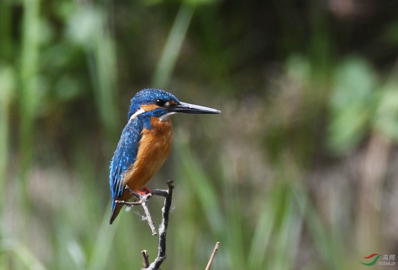 ������Ӱ 3583����.jpg