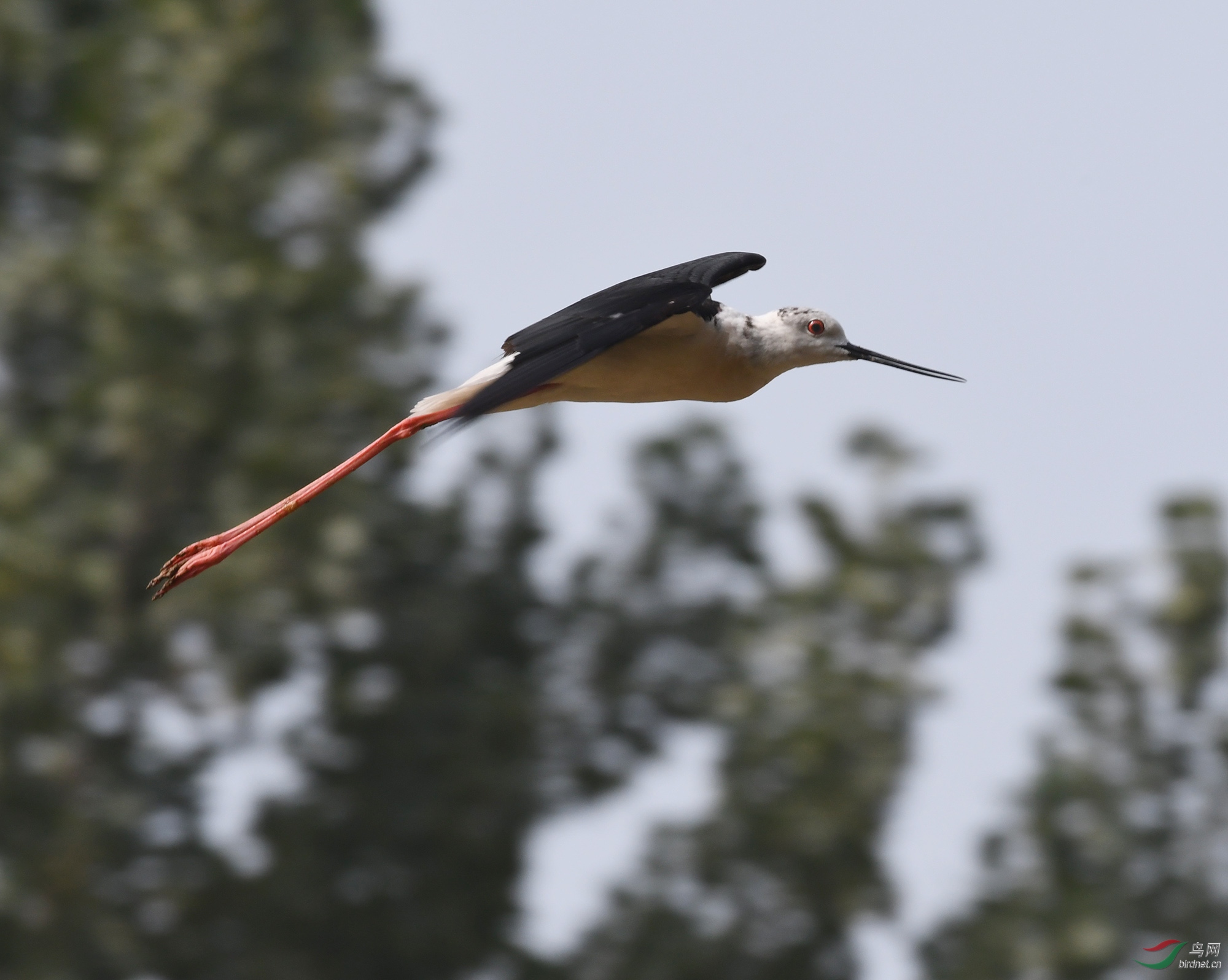 ������Ӱ 132����.jpg