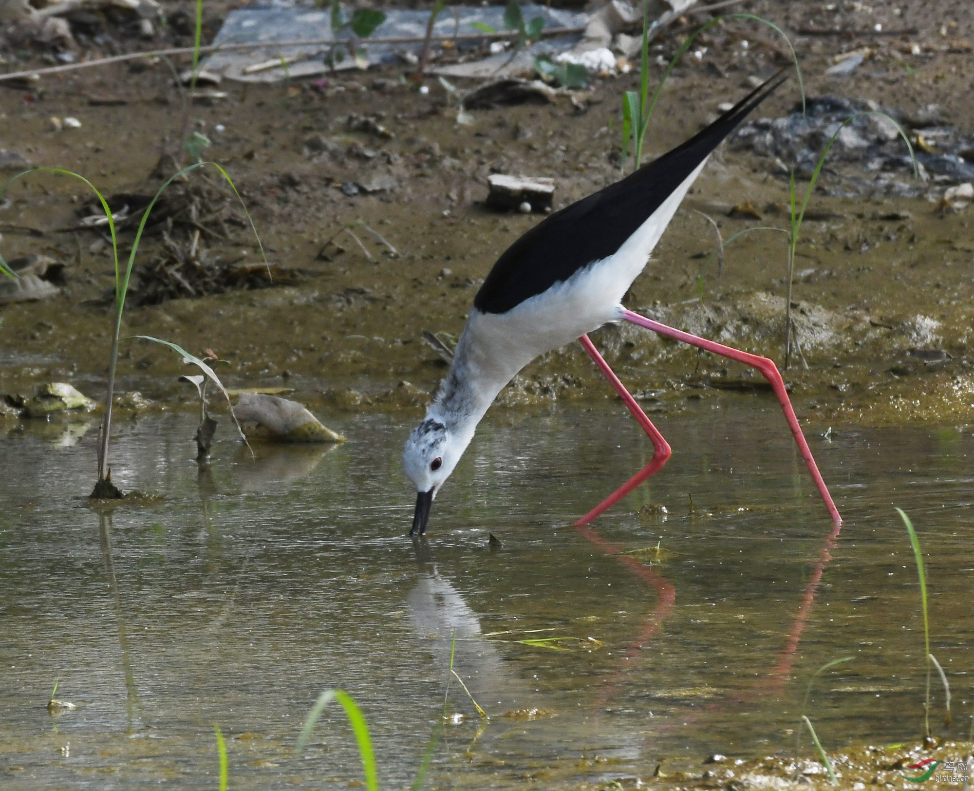 ������Ӱ 199����.jpg