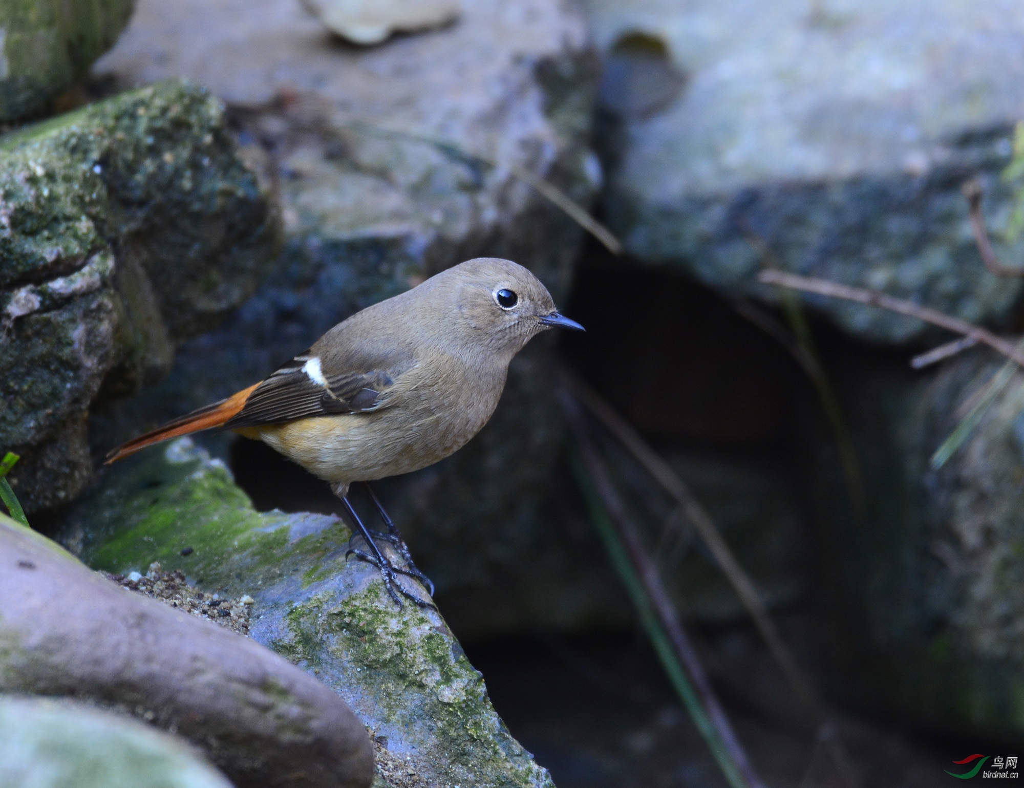 ������Ӱ 613����.jpg