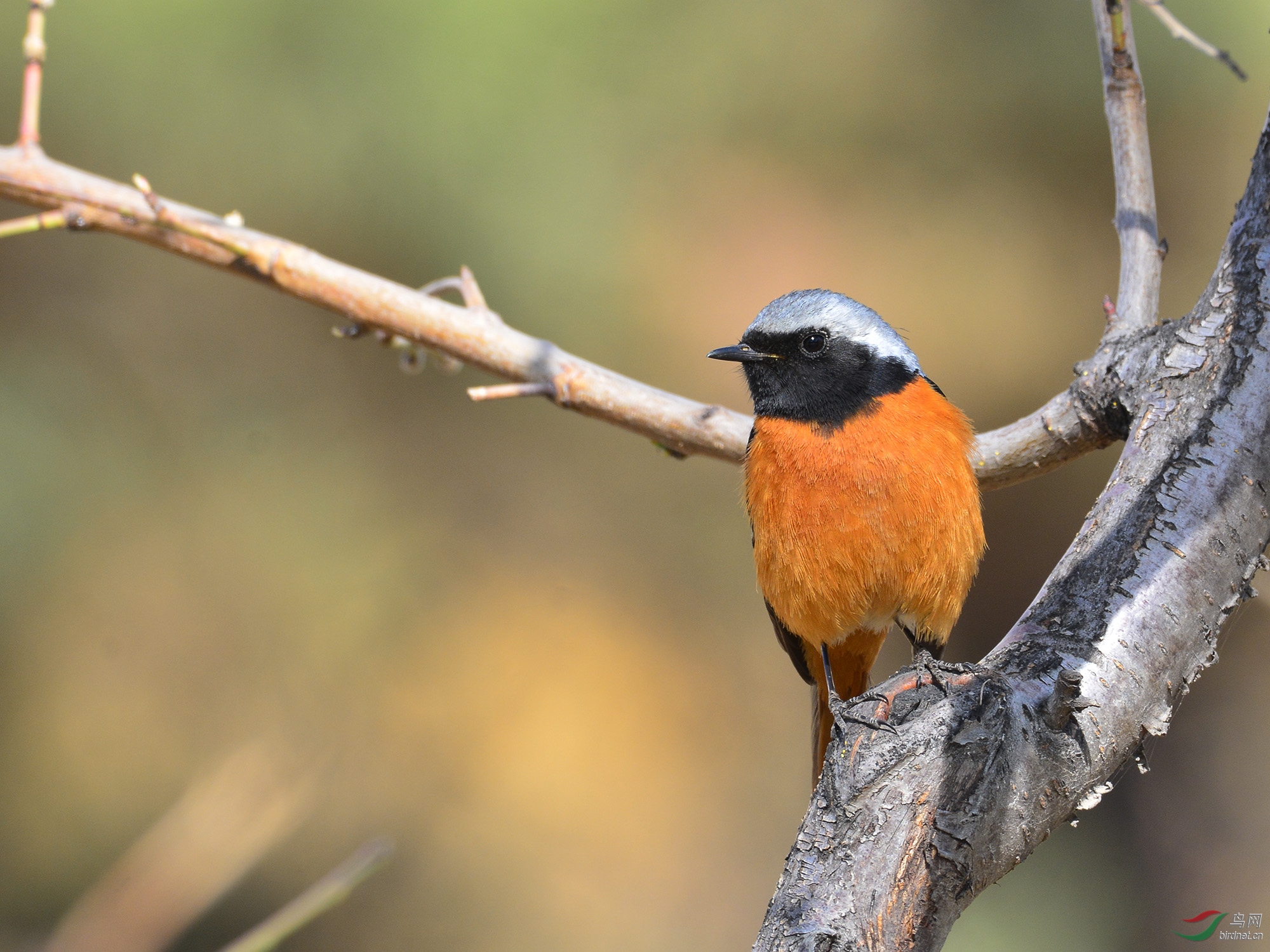 ������Ӱ 709����.jpg