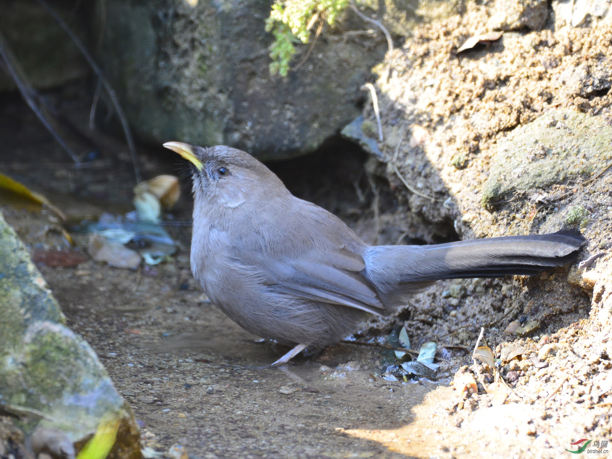 ������Ӱ 1253����.jpg