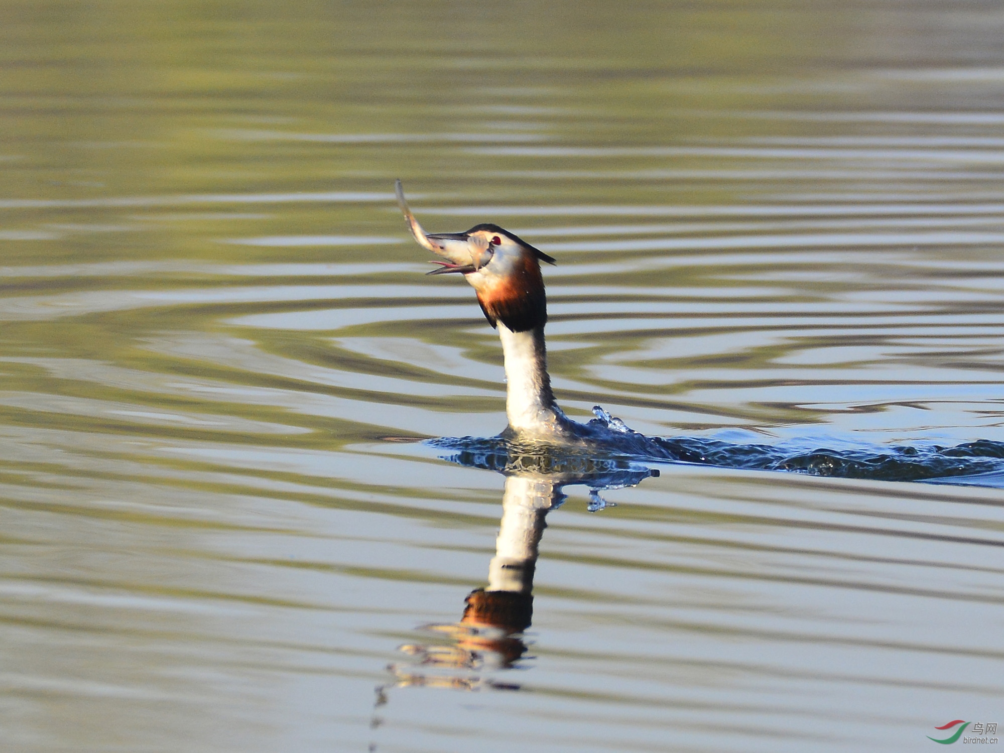 ������Ӱ 028����.jpg