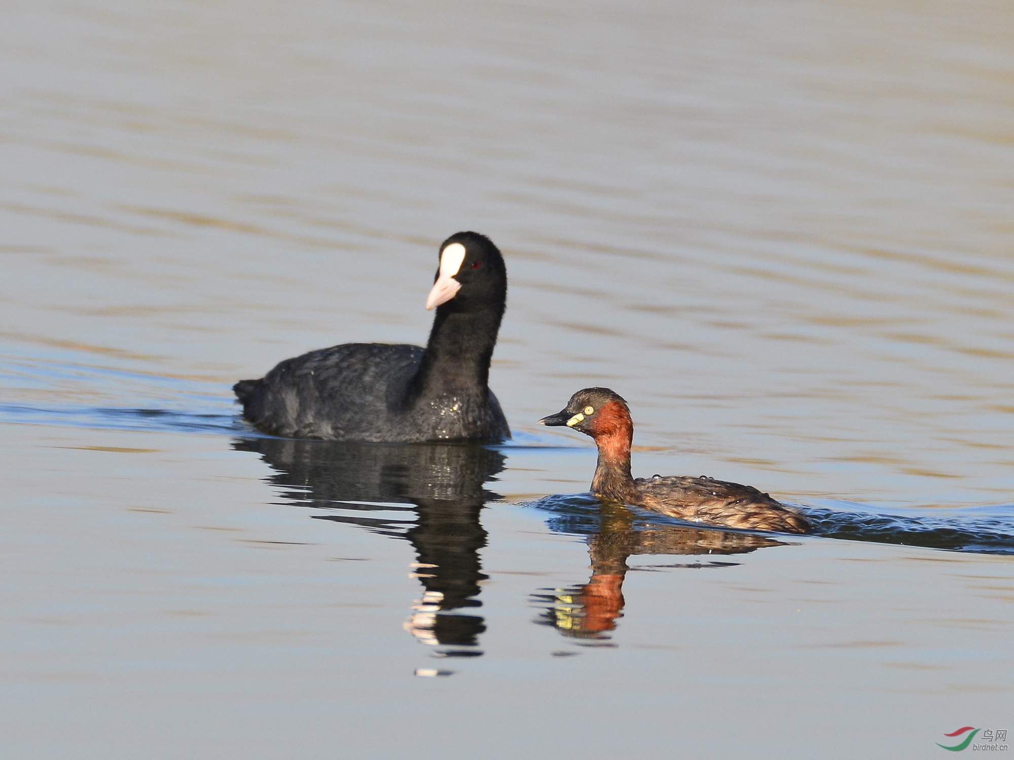 ������Ӱ 221����.jpg