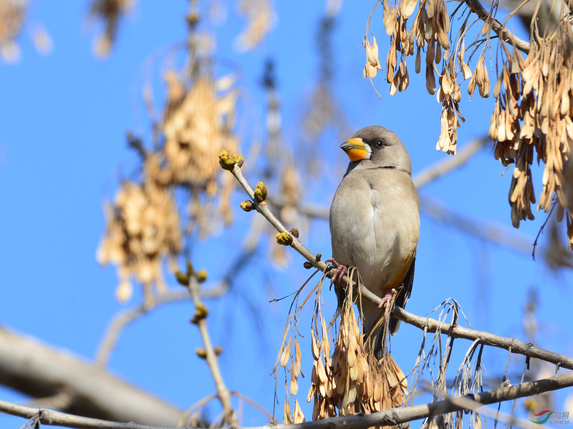 ������Ӱ 390����.jpg