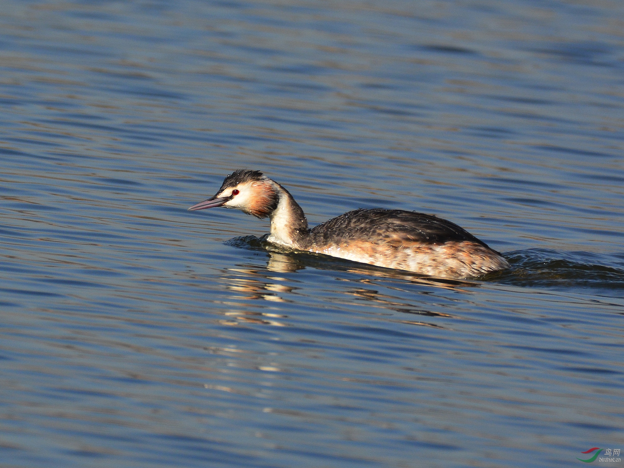 ������Ӱ 478����.jpg