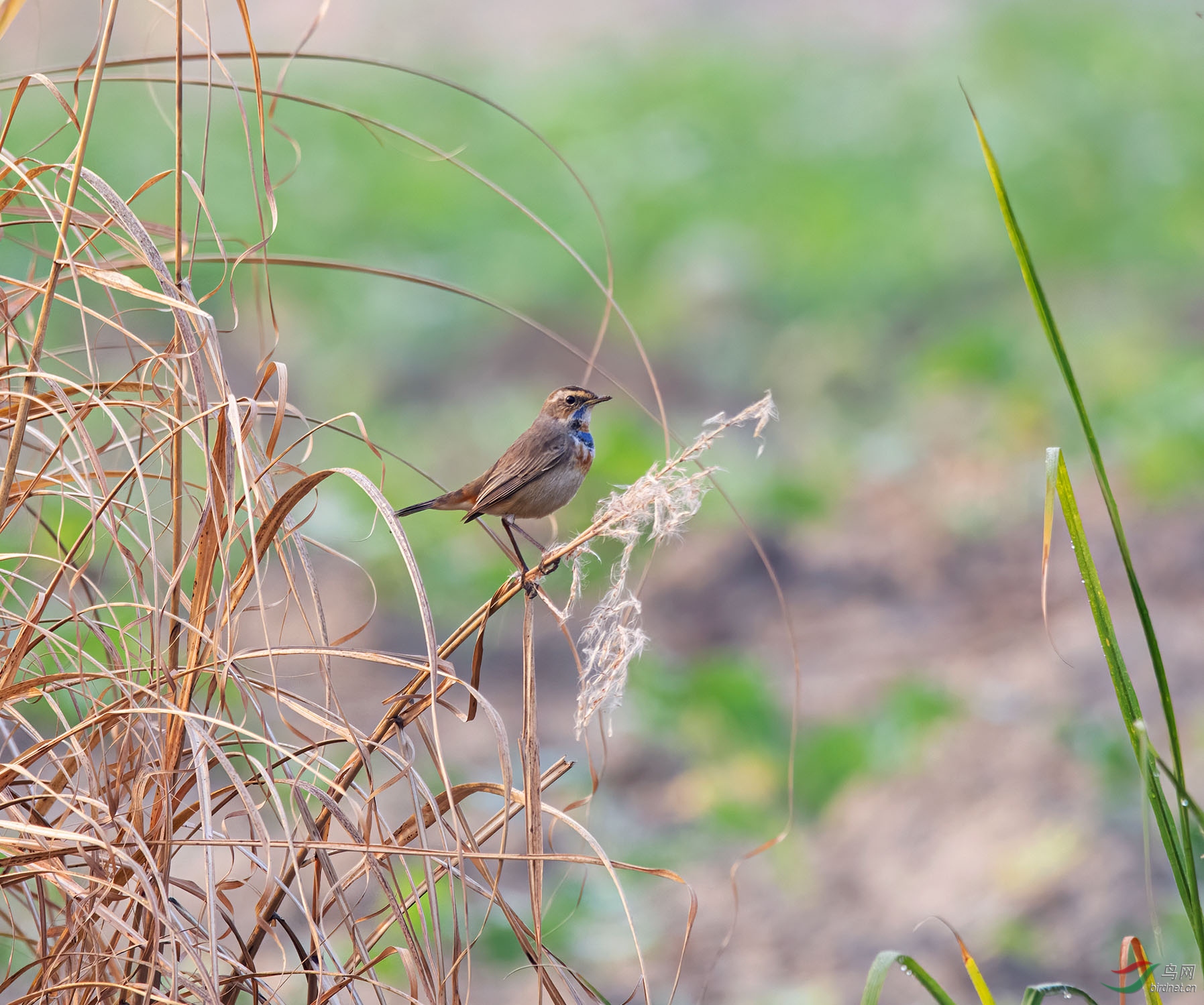 DSC_5439.jpg