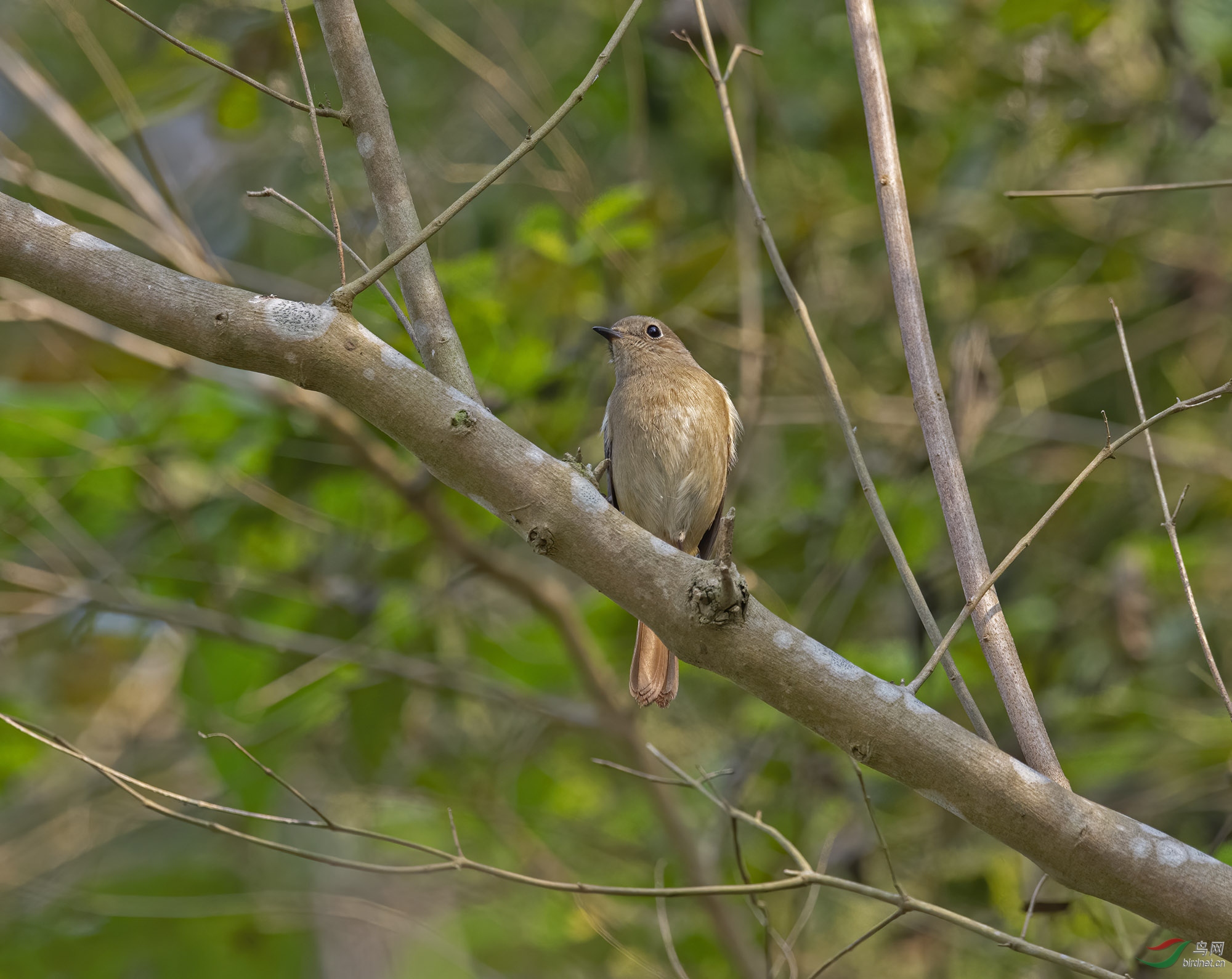 DSC_4495.jpg