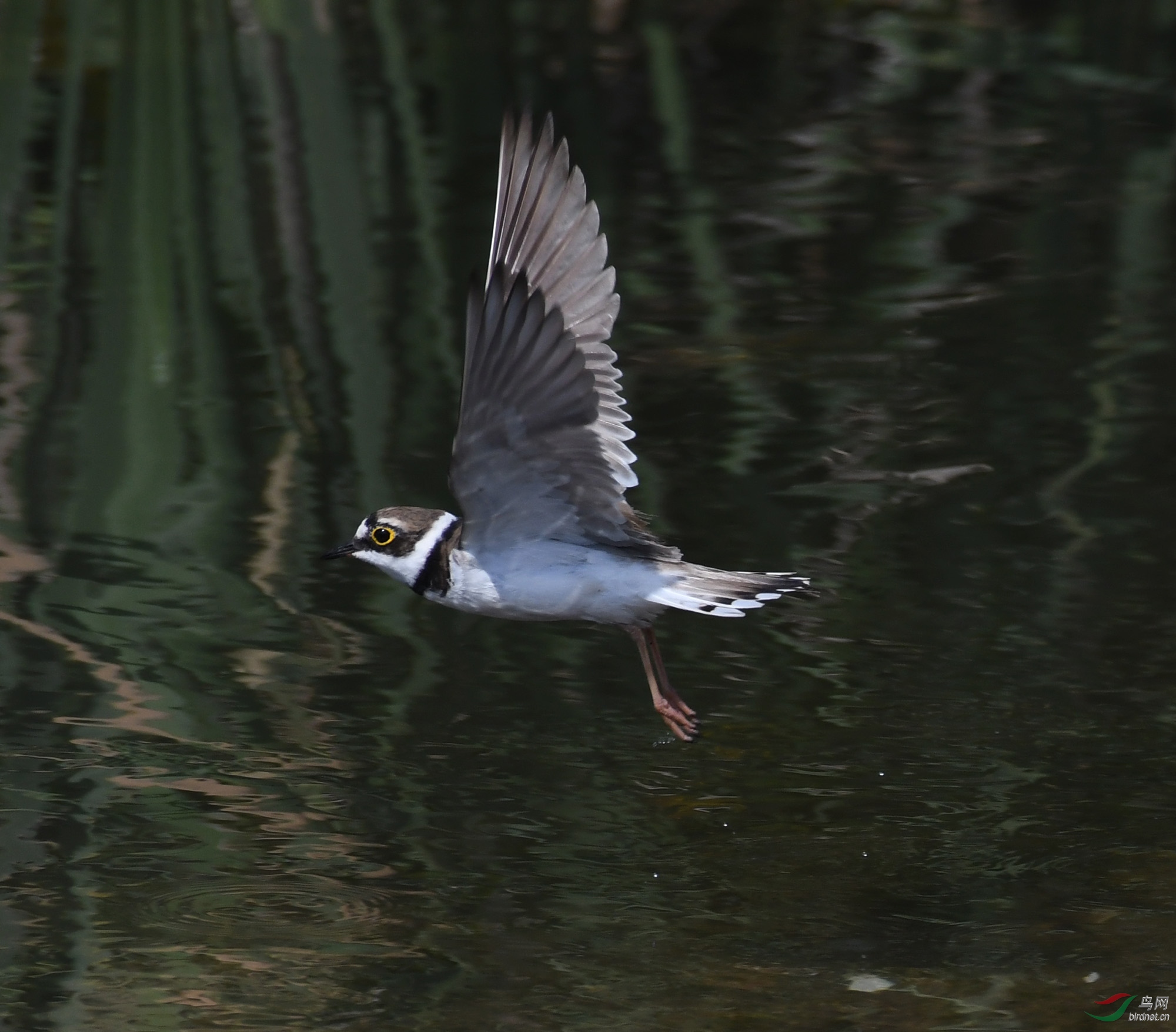 ������Ӱ 1990����.jpg