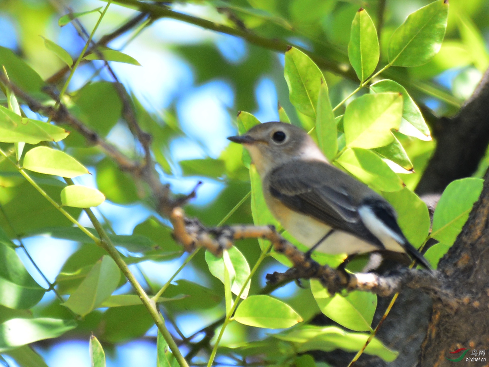 ������Ӱ 3090����.jpg