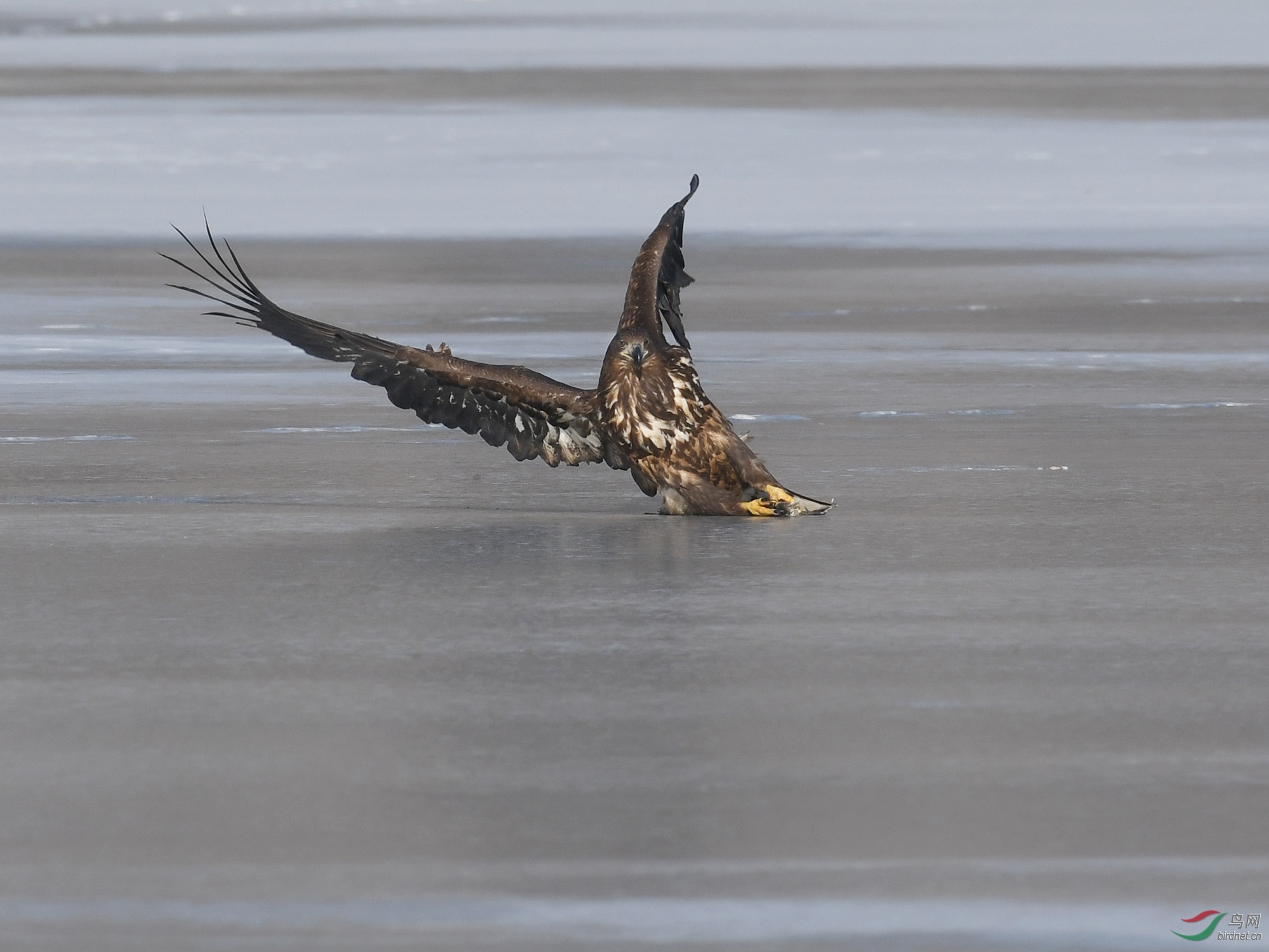 ������Ӱ 234����.jpg