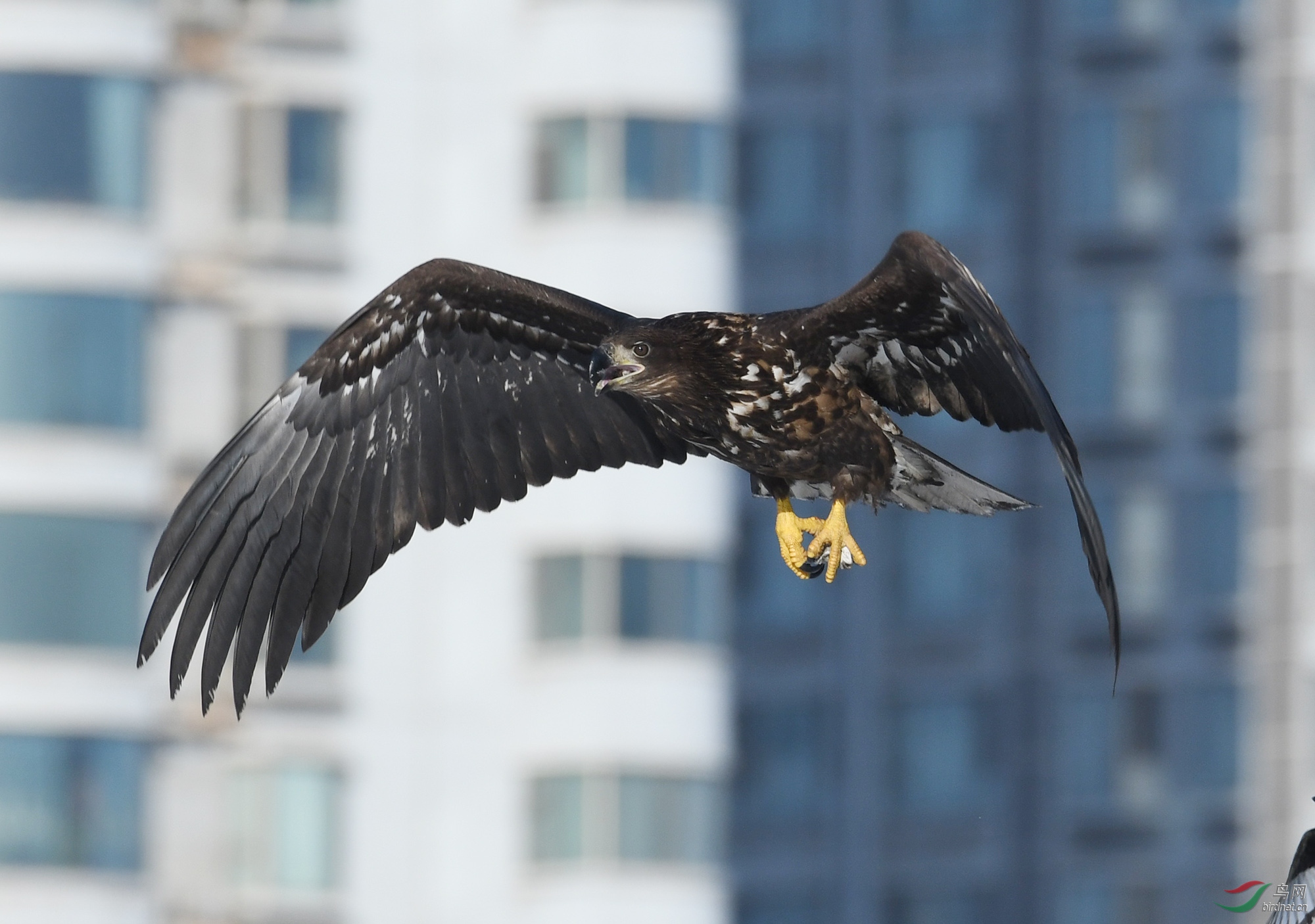 ������Ӱ 347����.jpg