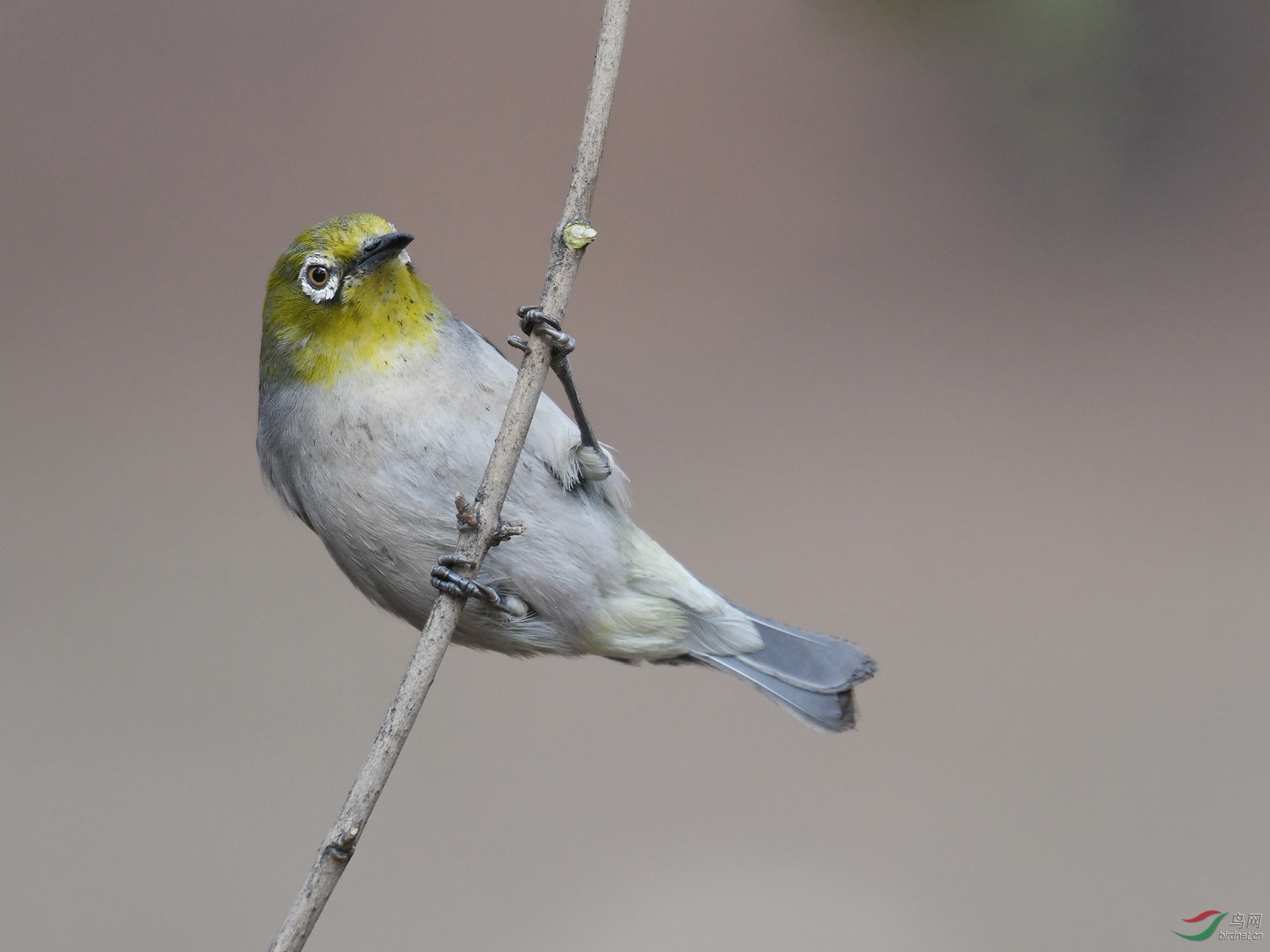 ������Ӱ 572����.jpg