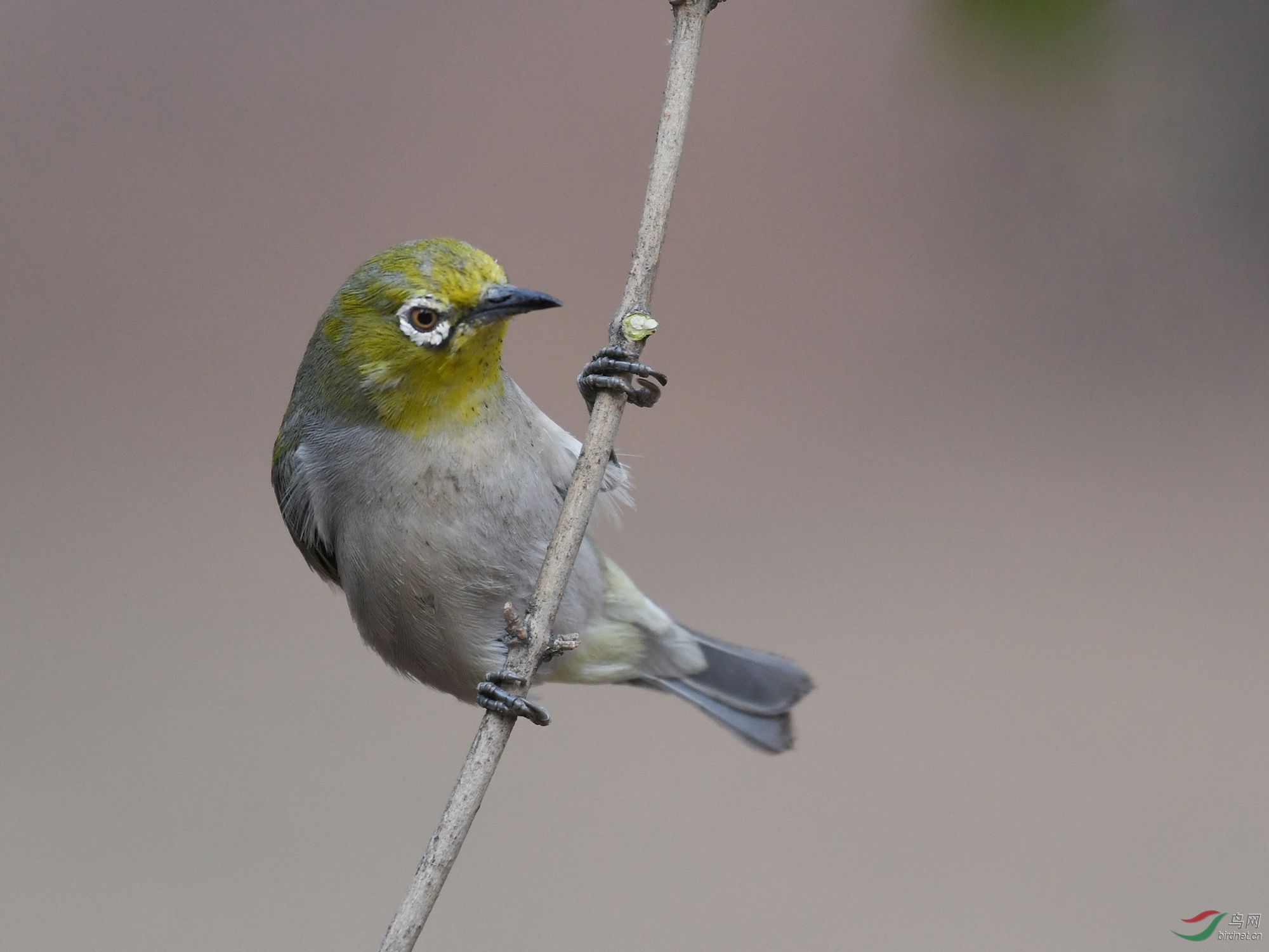 ������Ӱ 573����.jpg