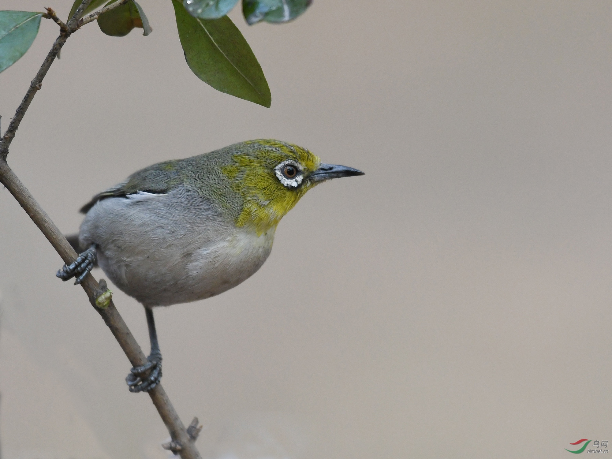 ������Ӱ 223����.jpg