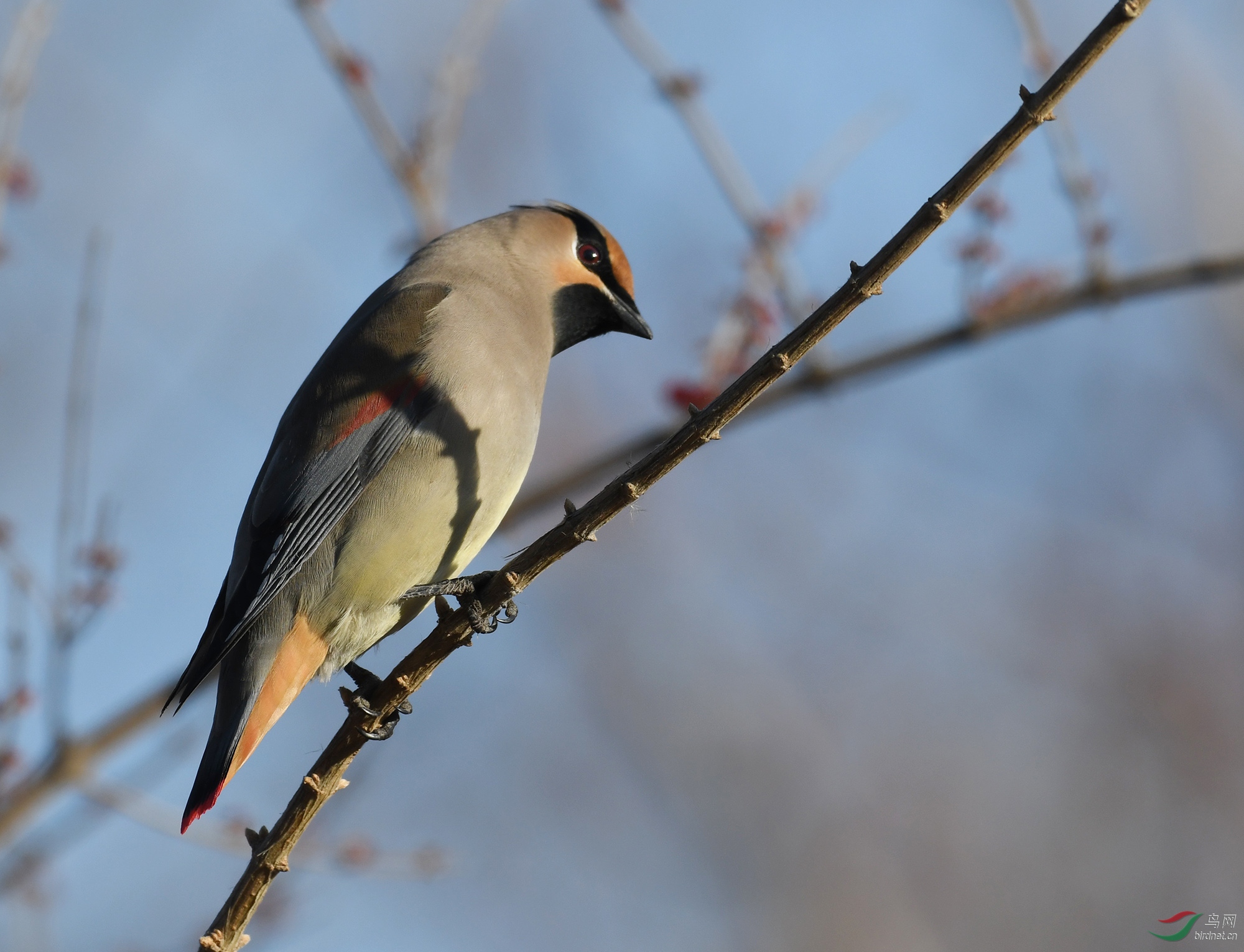 ������Ӱ 1632����.jpg