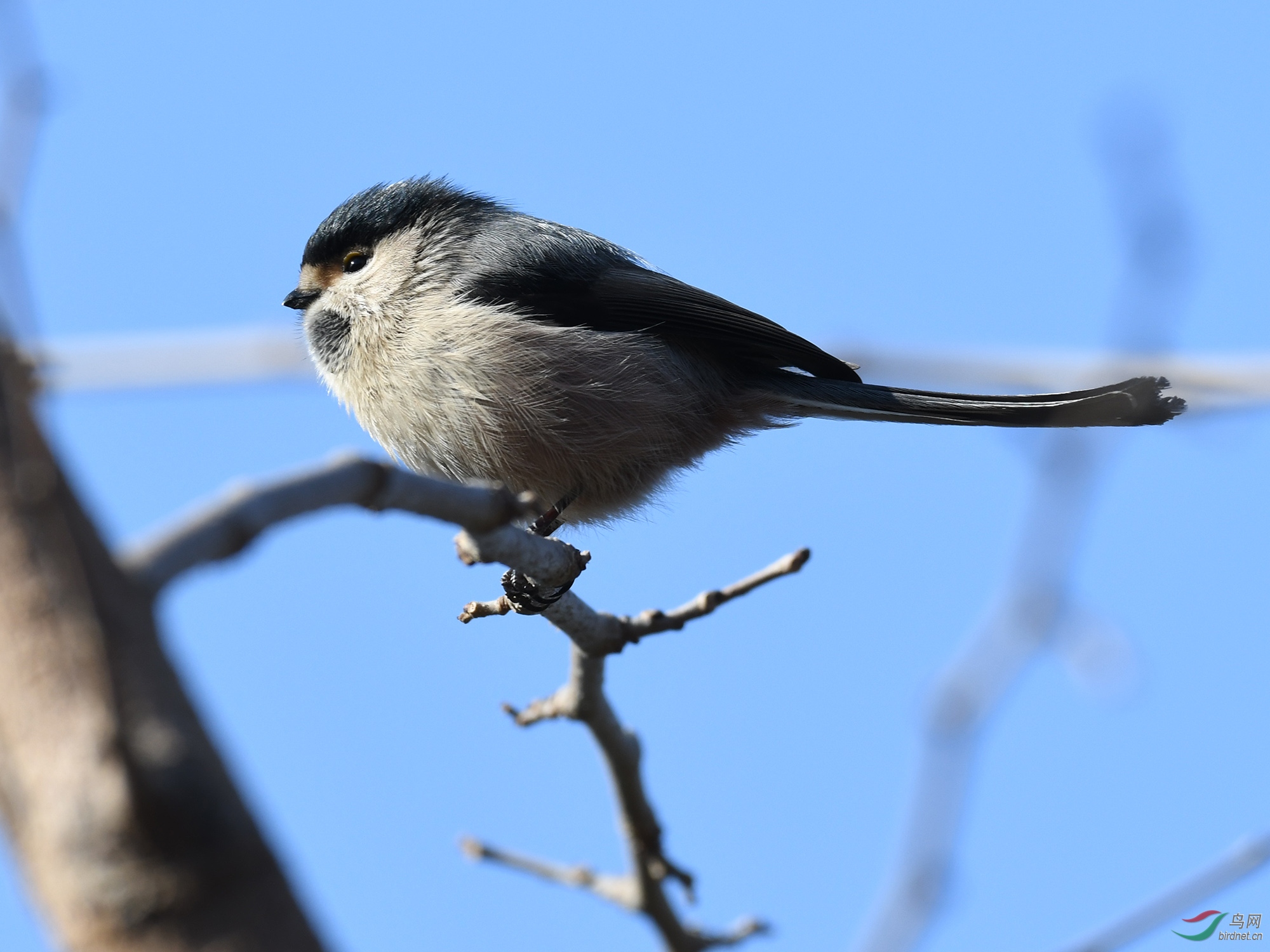 ������Ӱ 325����.jpg