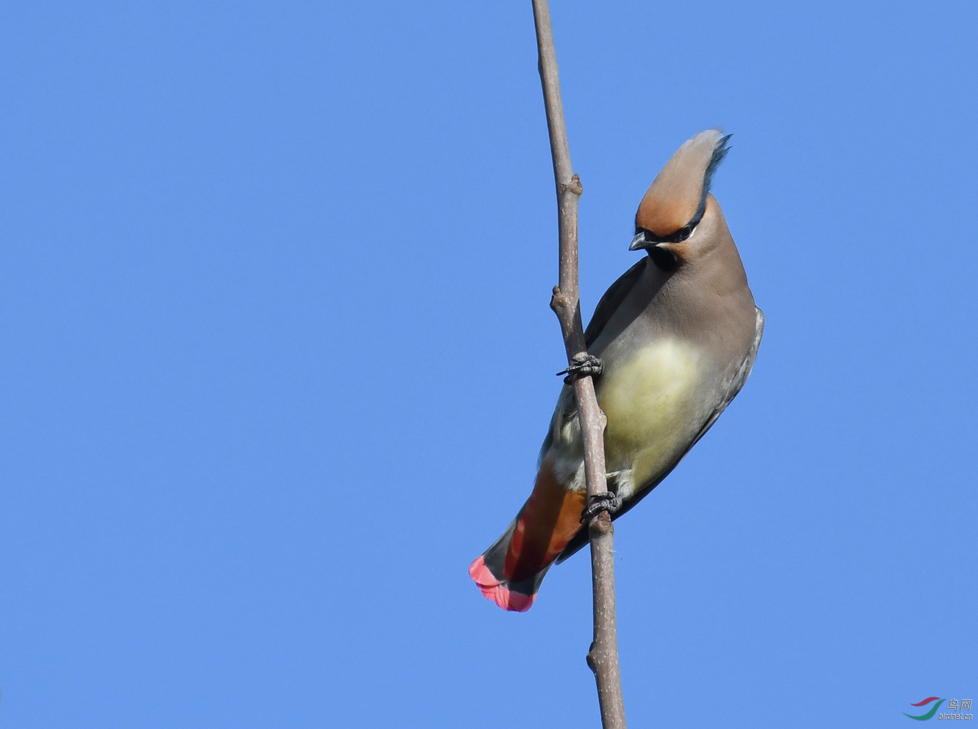 ������Ӱ 287����.jpg