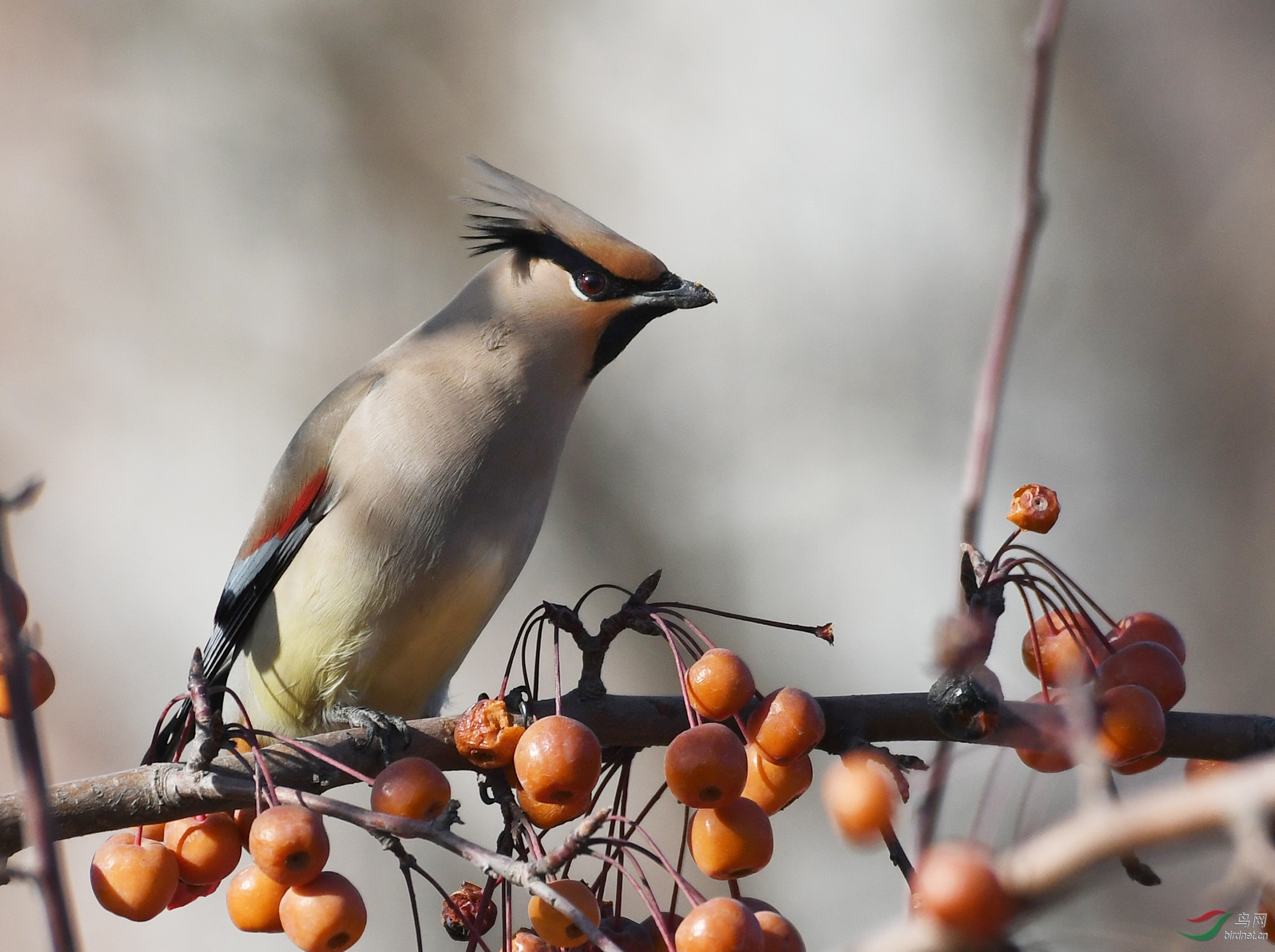 ������Ӱ 660����.jpg