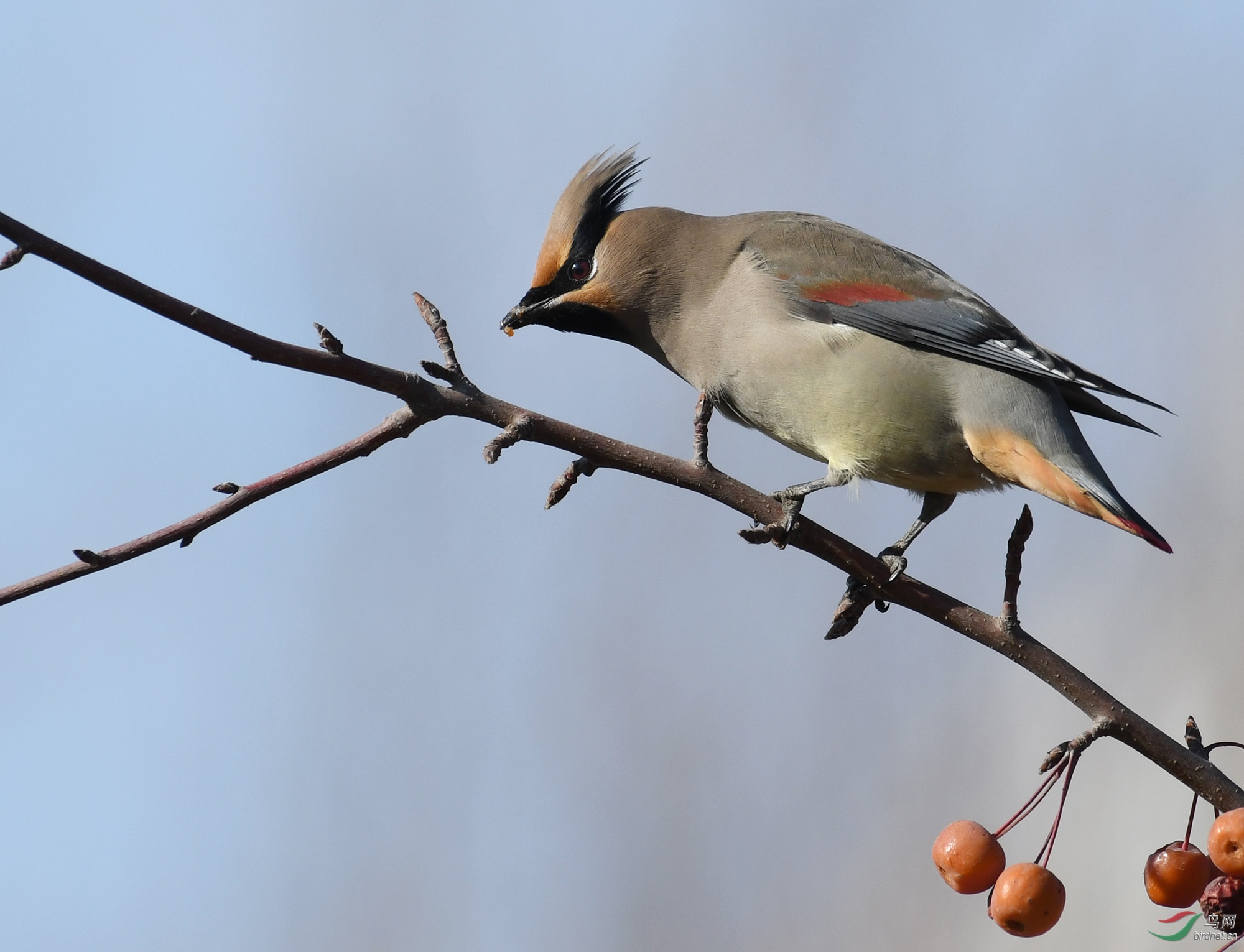 ������Ӱ 730����.jpg