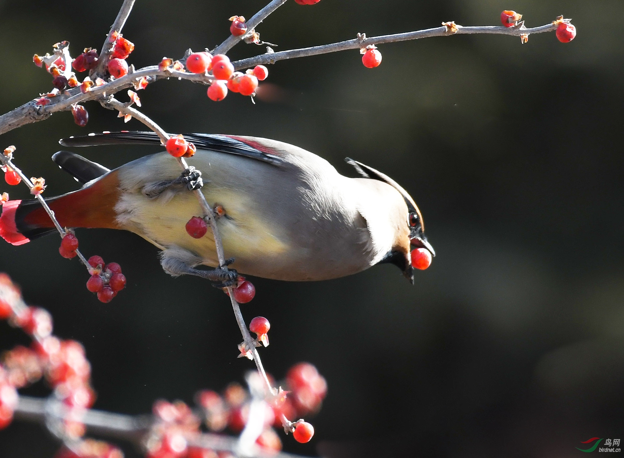 ������Ӱ 783����.jpg