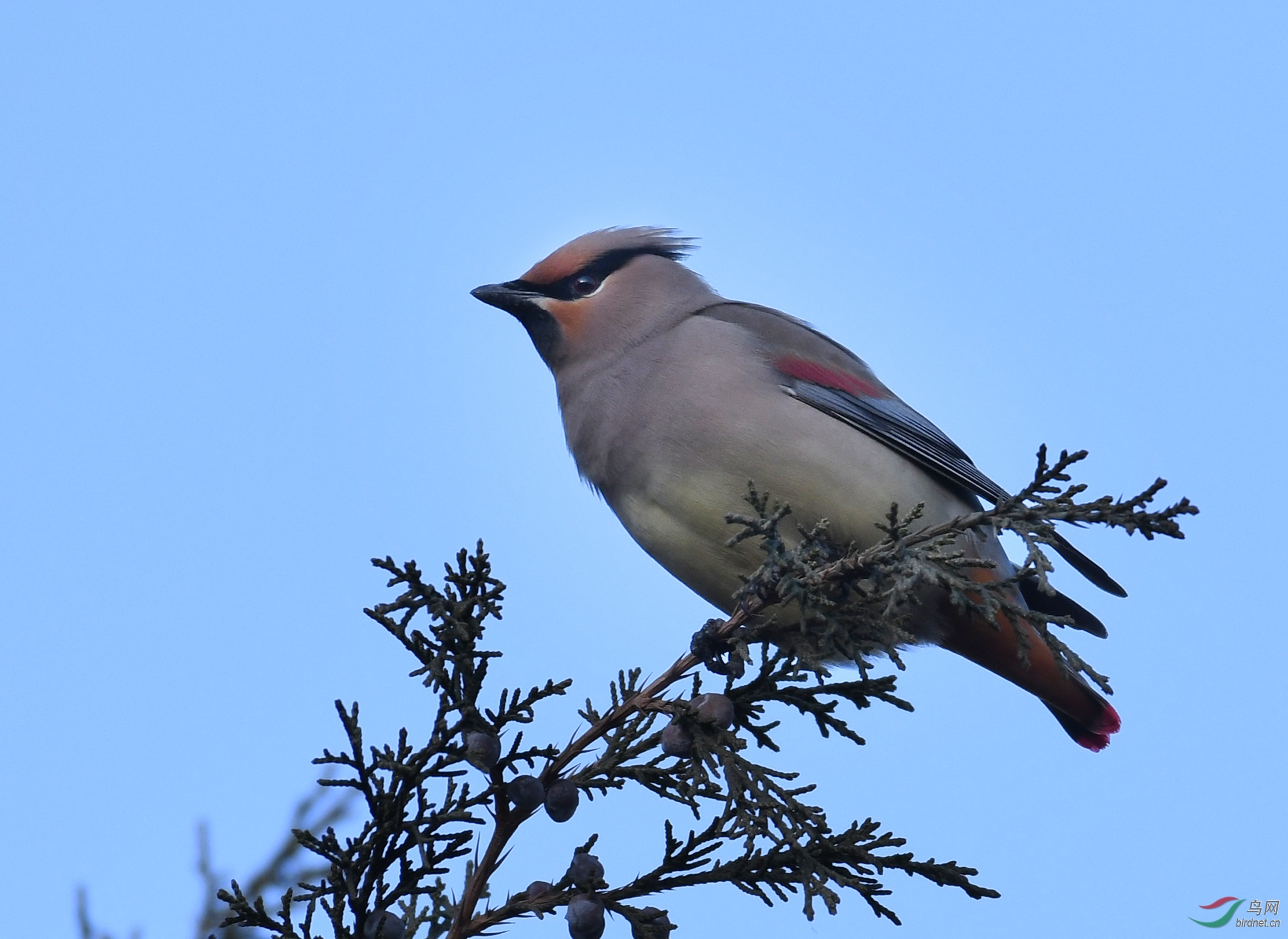 ������Ӱ 899����.jpg